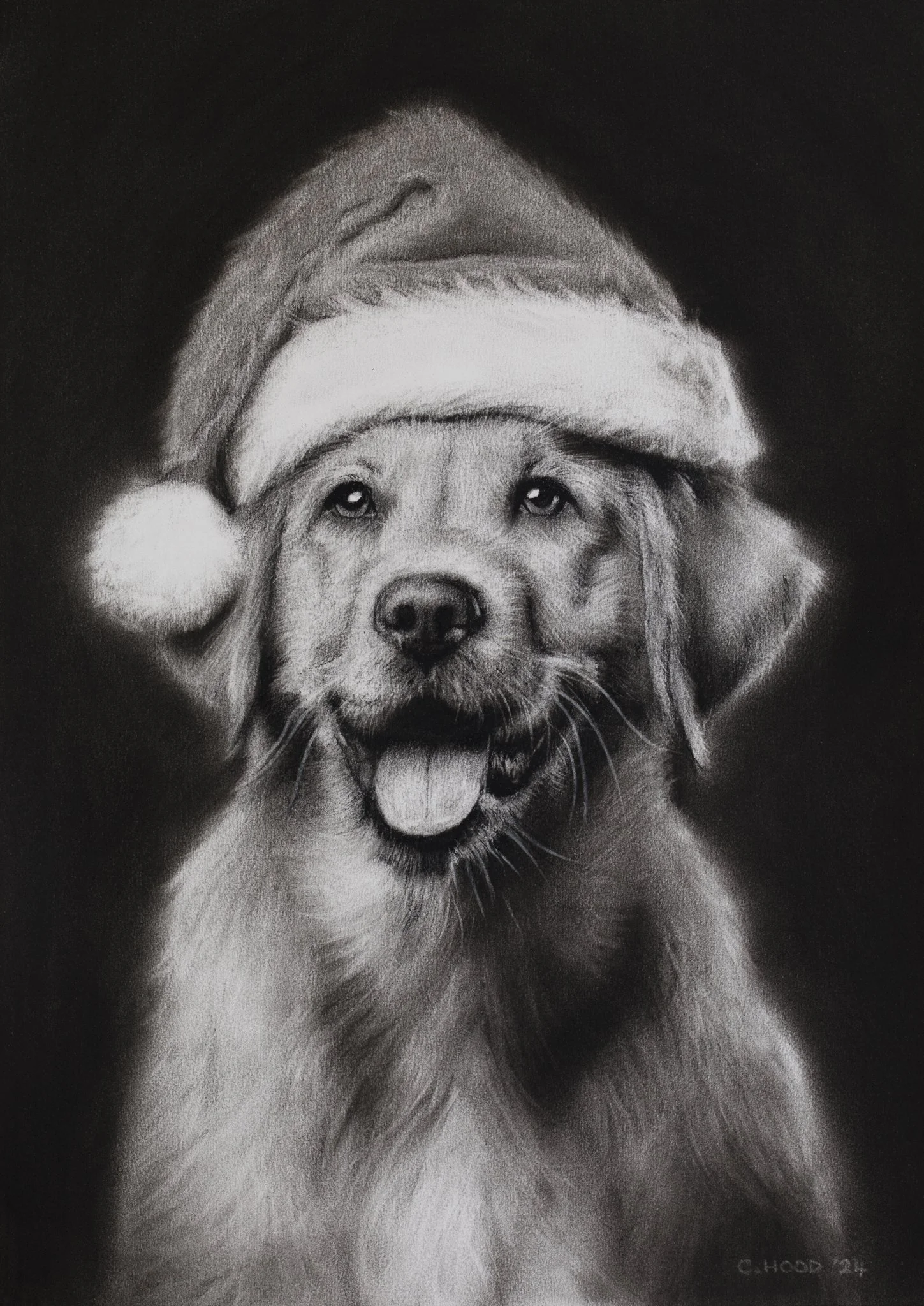 Santa Paws | Open Edition Print