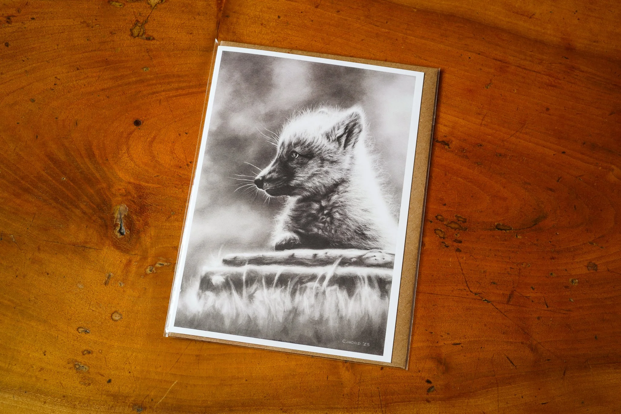 Fox Cub | Fine Art Greetings Card - Single
