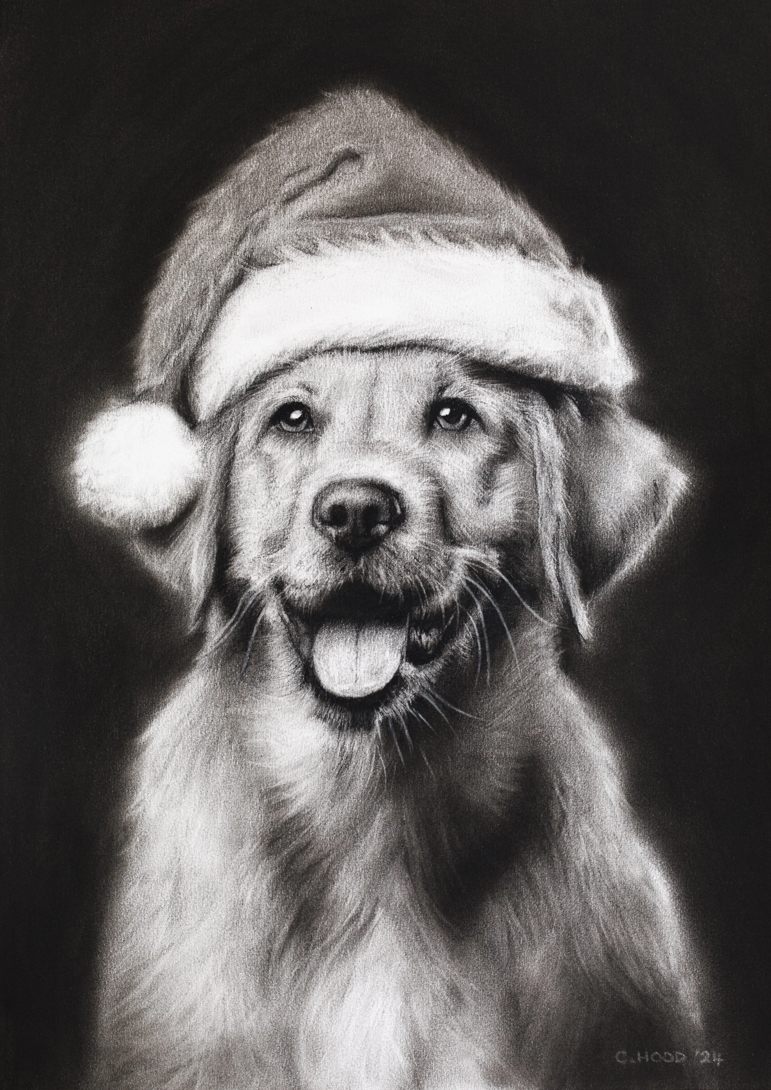 Santa Paws-1.jpg