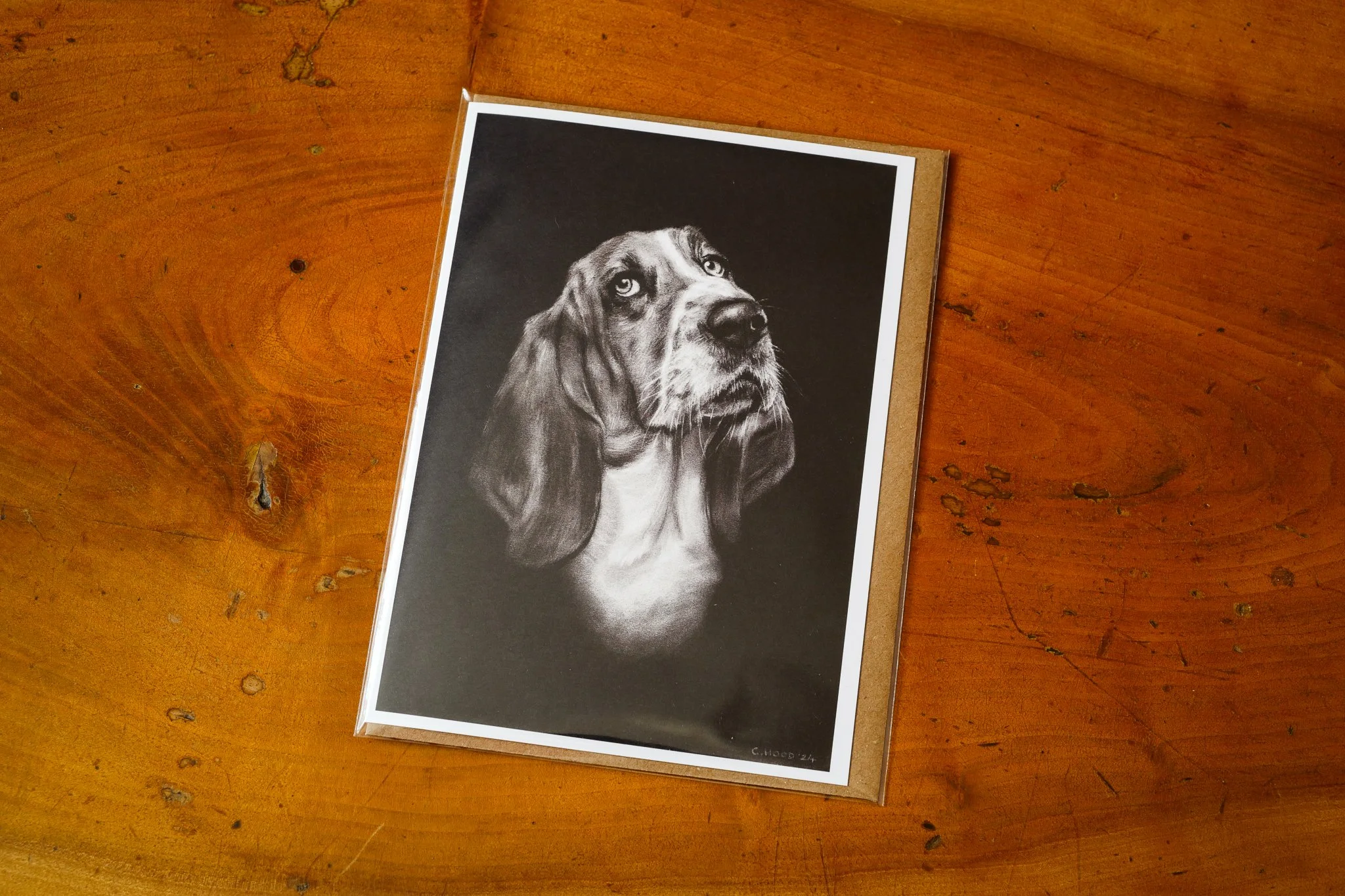 Basset Hound | Fine Art Greetings Card - Single
