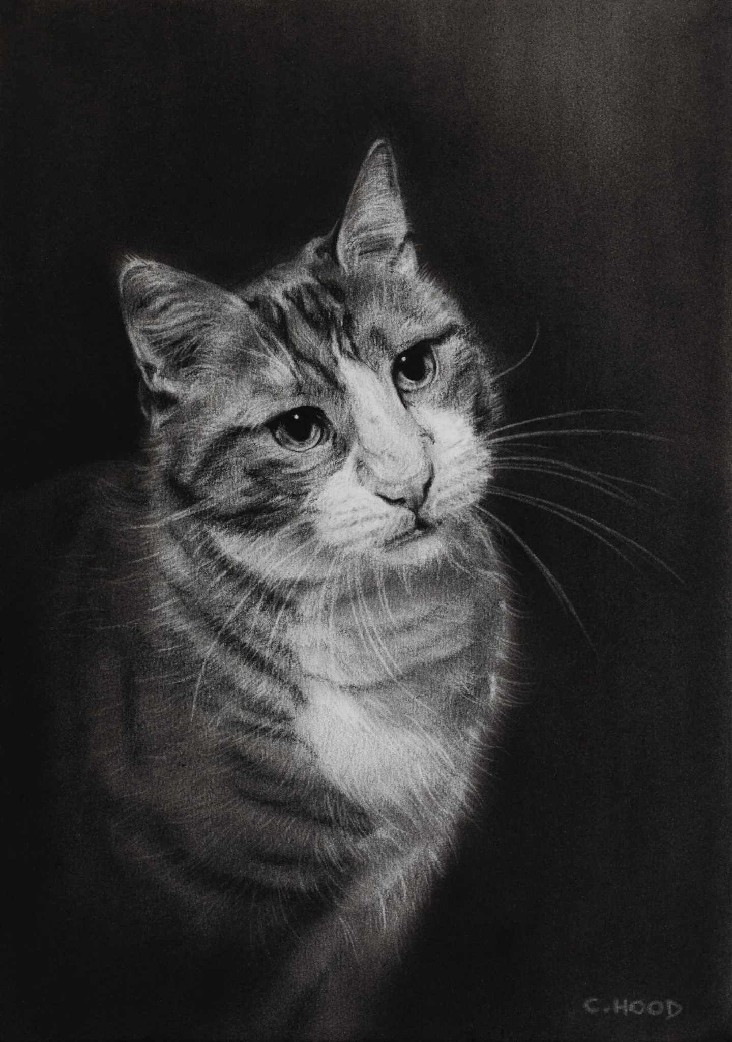 Spirou, Commission, 2026, A4, Charcoal on Paper