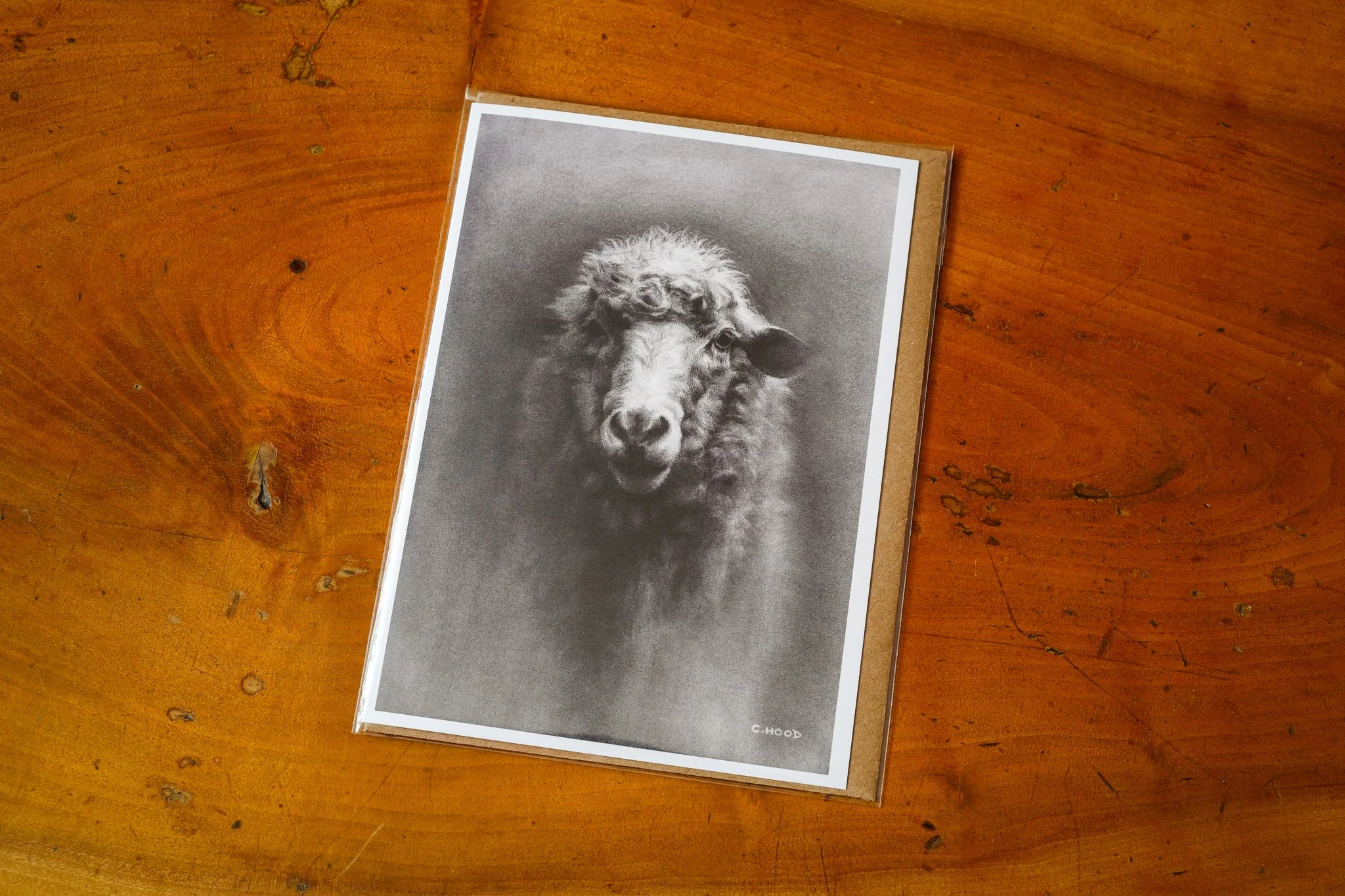 Sheep | Fine Art Greetings Card - Single