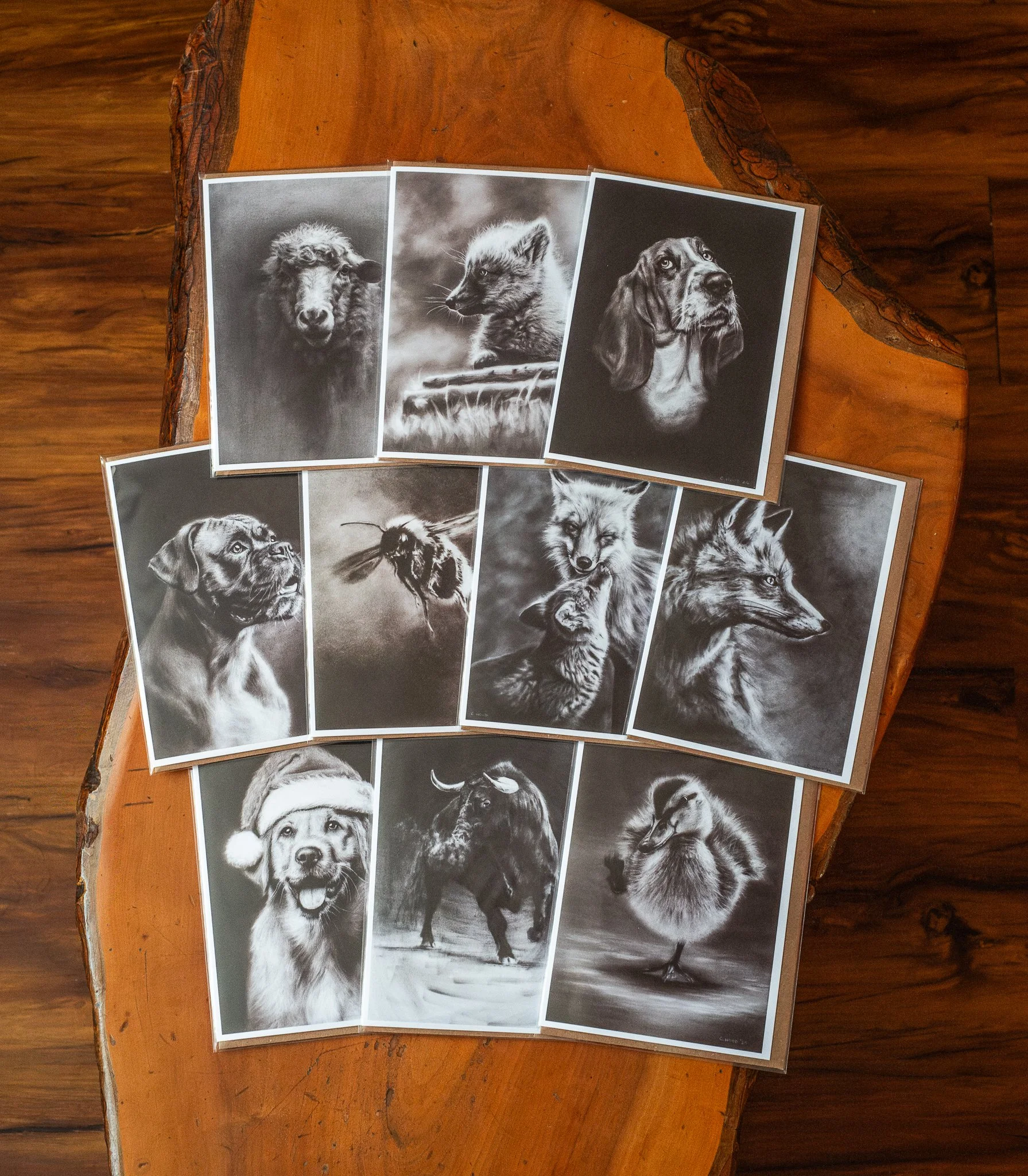 Bundle | Fine Art Greetings Cards - 10 Pack