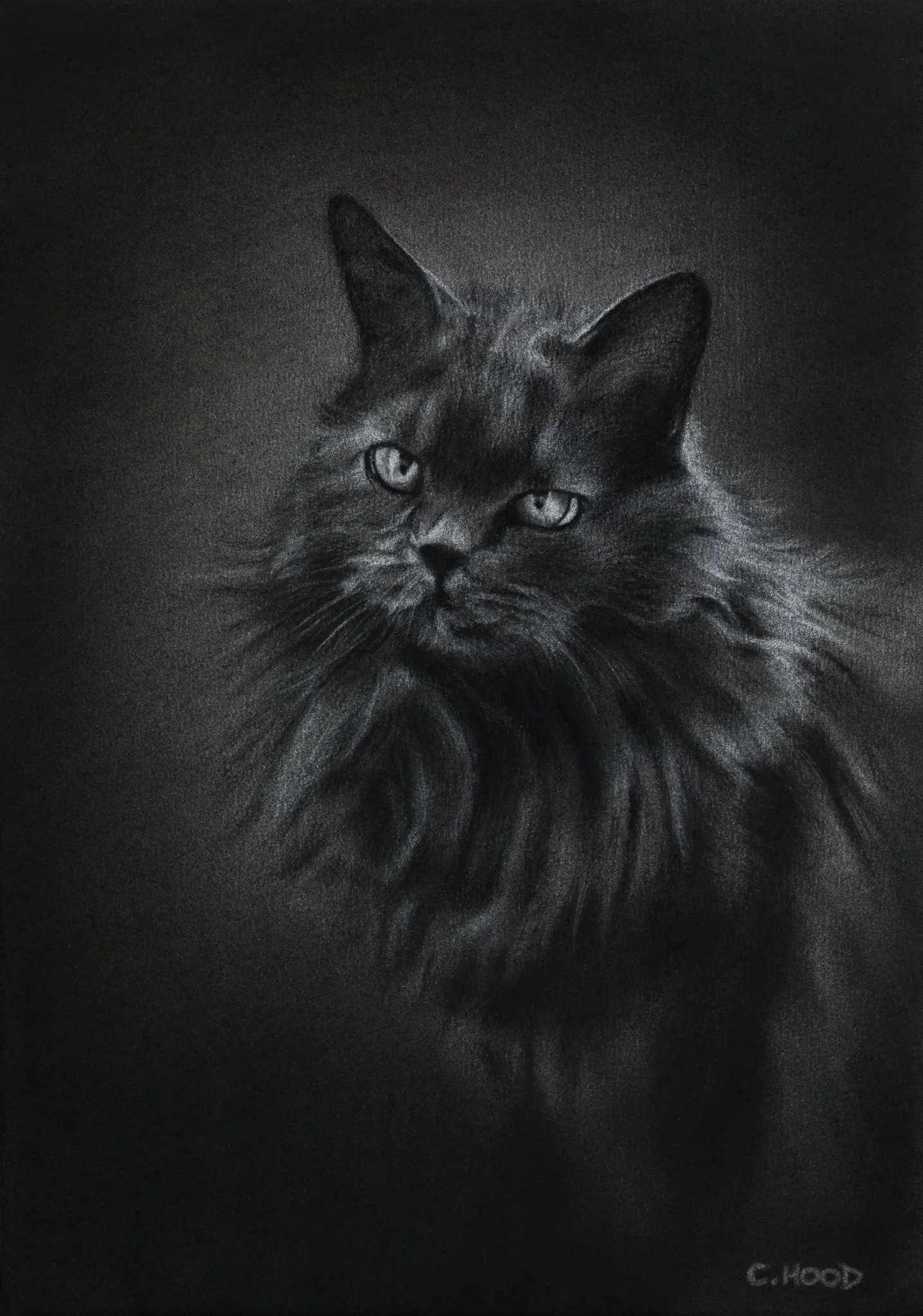 Gribouille, Commission, 2026, A4, Charcoal on Paper