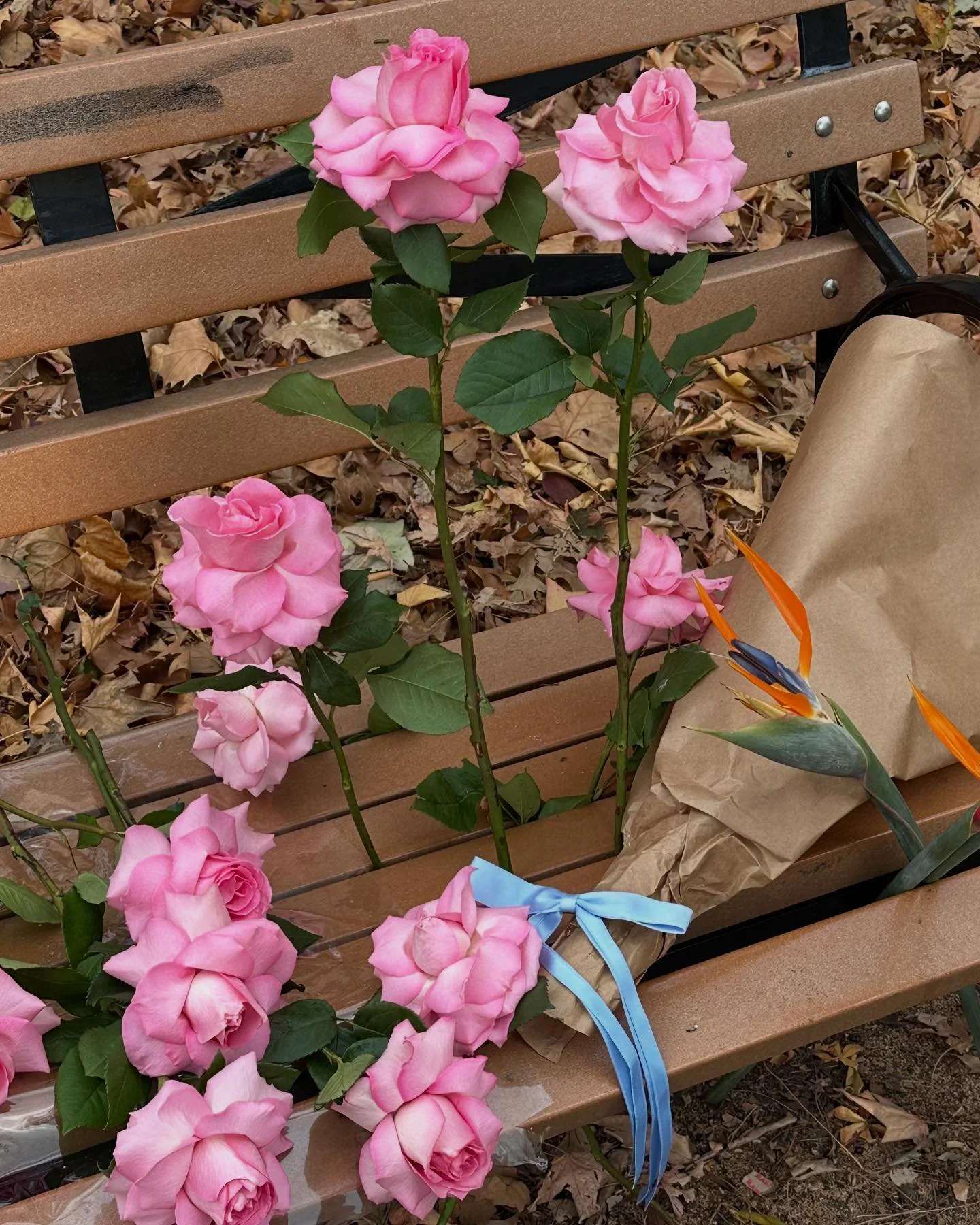 Park bench as my work space today 💞