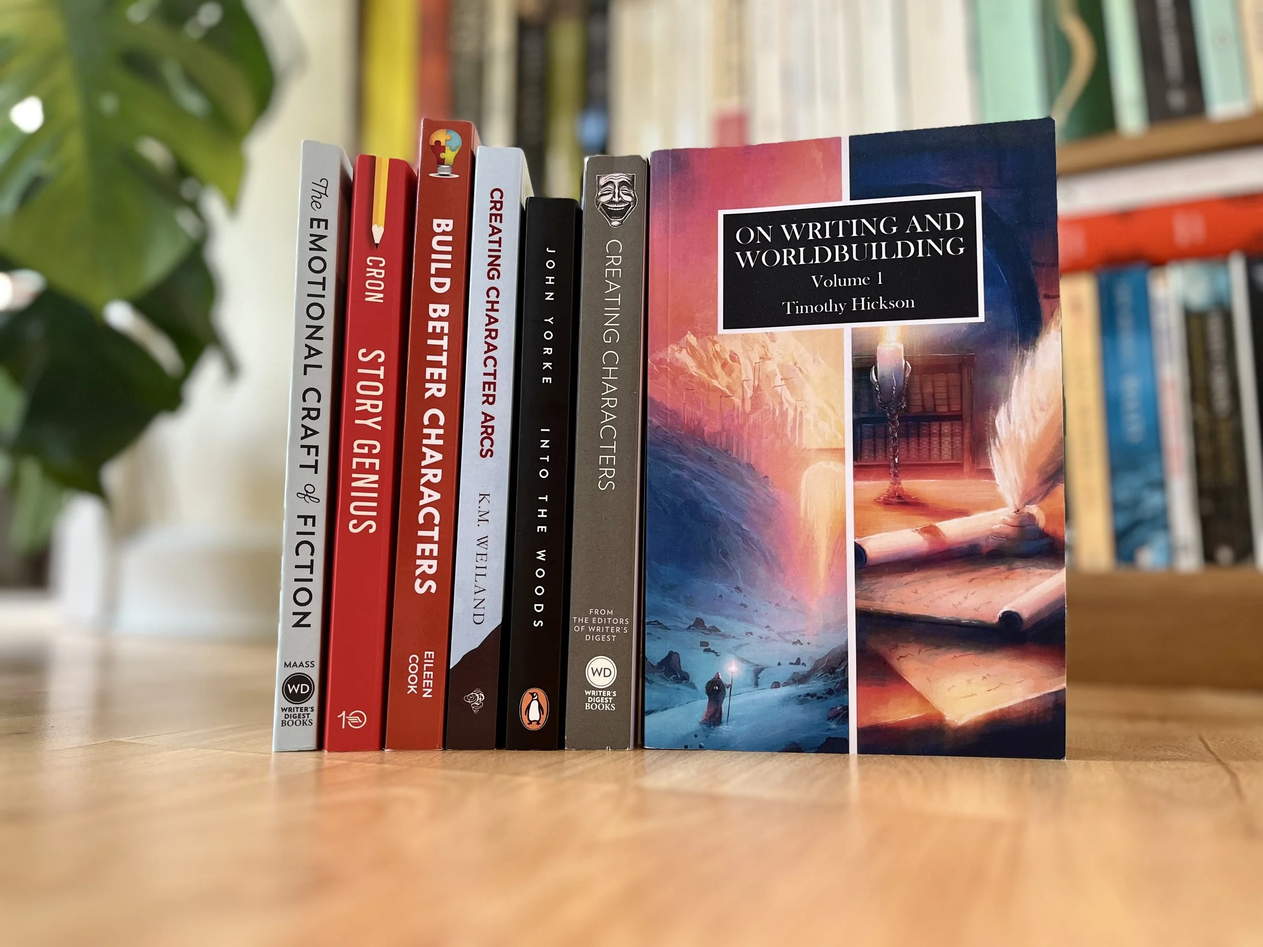 Craft books on world building, characterization, story structure, and so on.