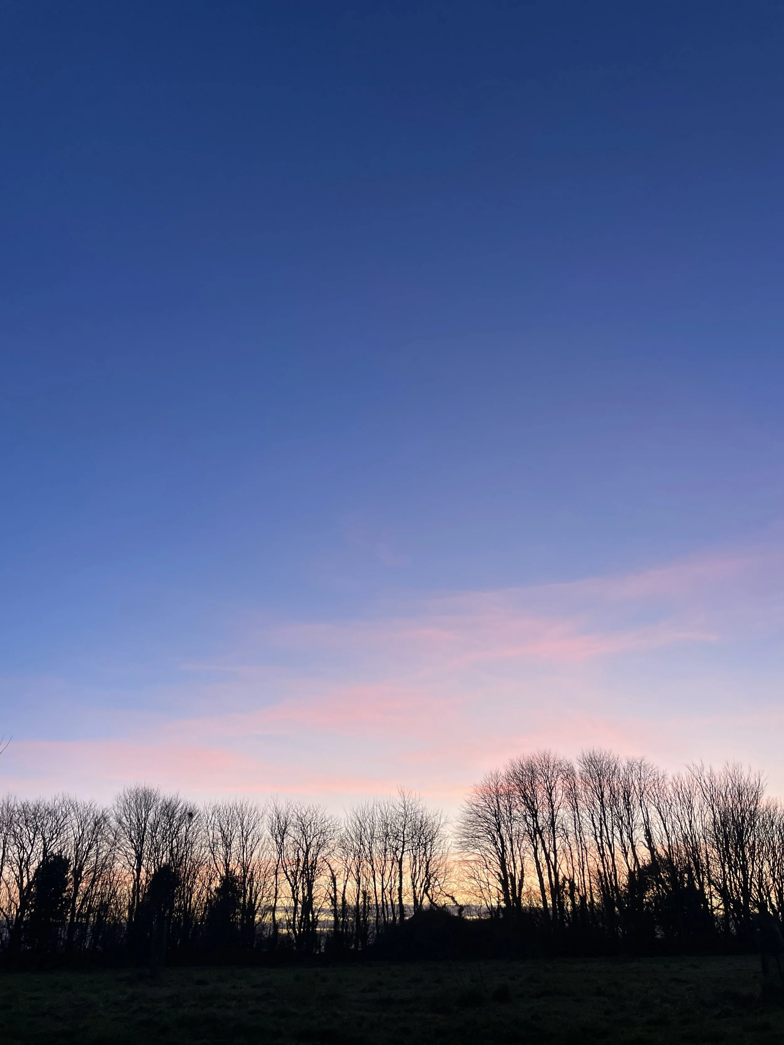 The Hardened Heart, Fear and Samsara.&nbsp;