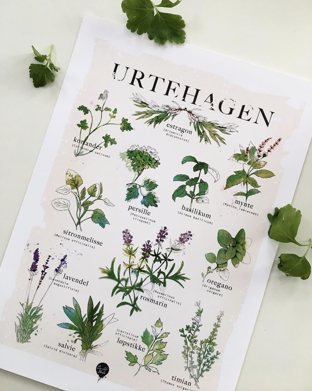 Skjermbilde 2025-04-29 kl. 09.07.43.png