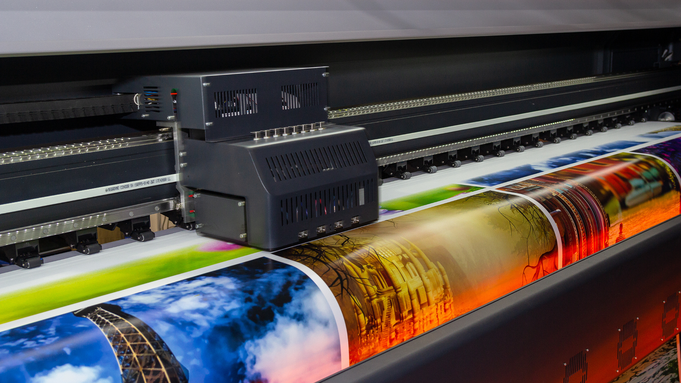 World Environment Day: Do Printed Marketing Materials Still Have a Place?