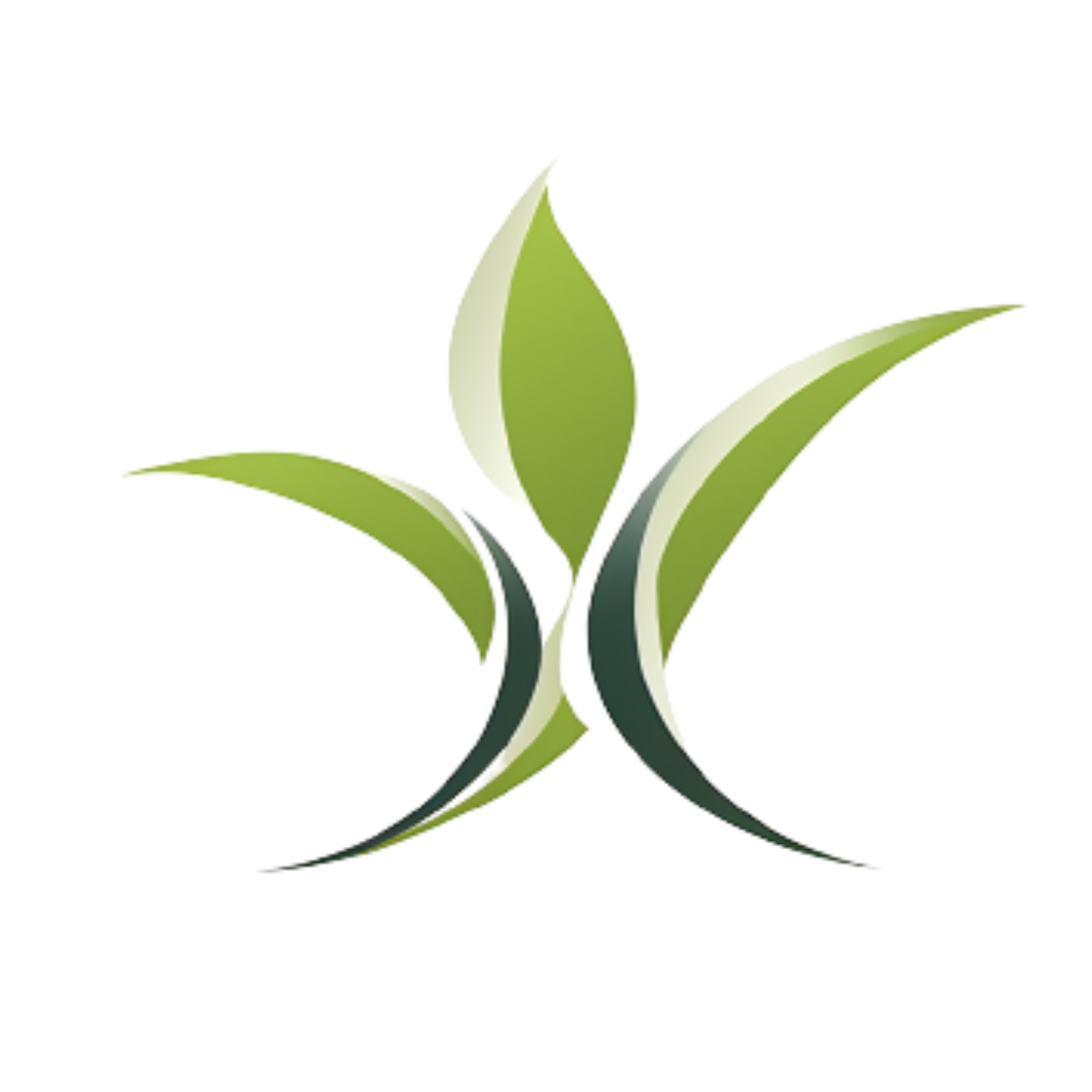 XSEED Health Goods