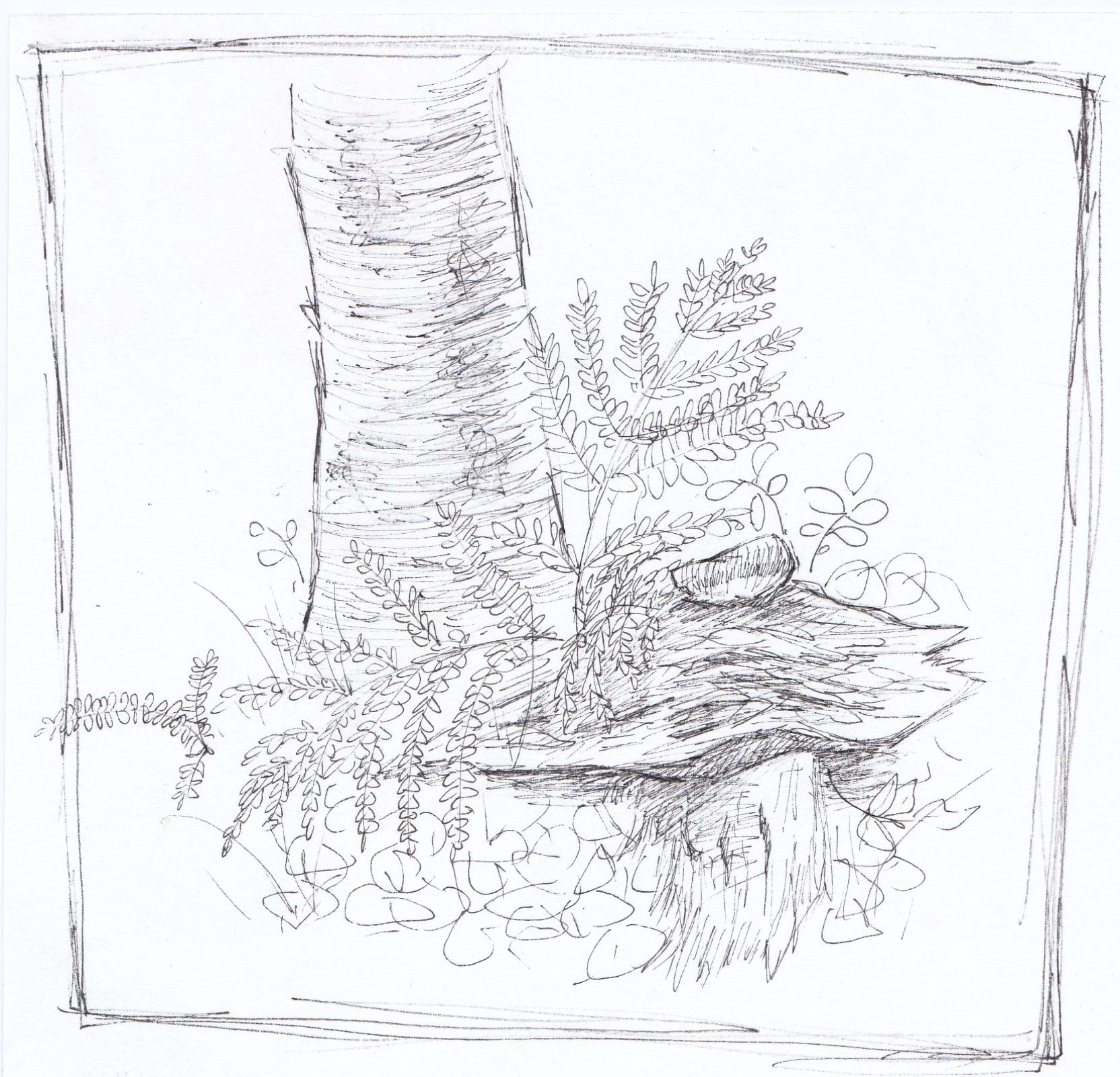 Hidden Garden