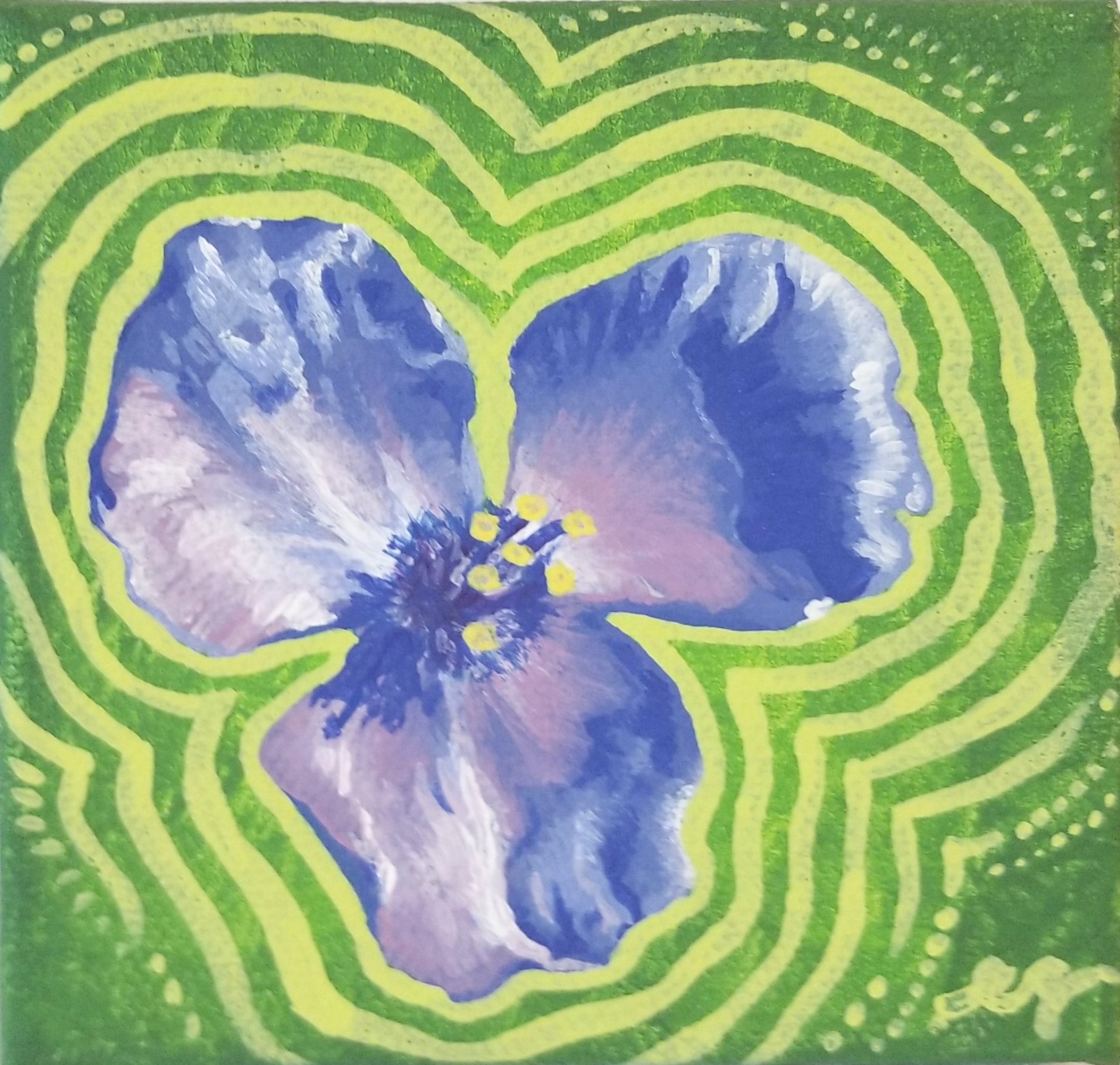 Spiderwort