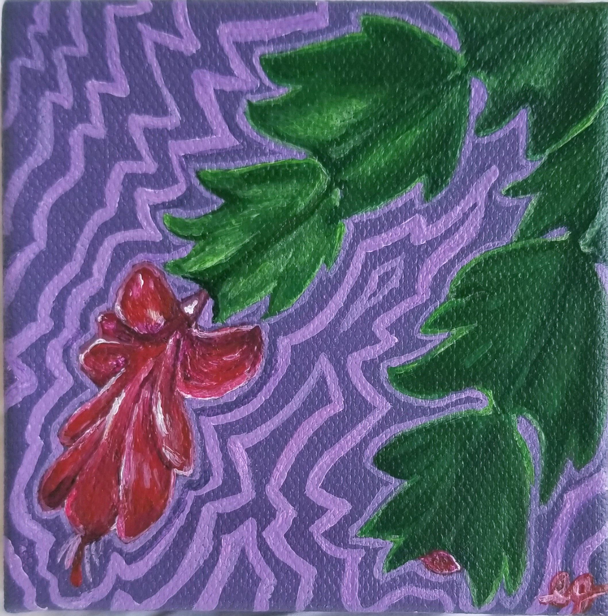 Christmas Cactus