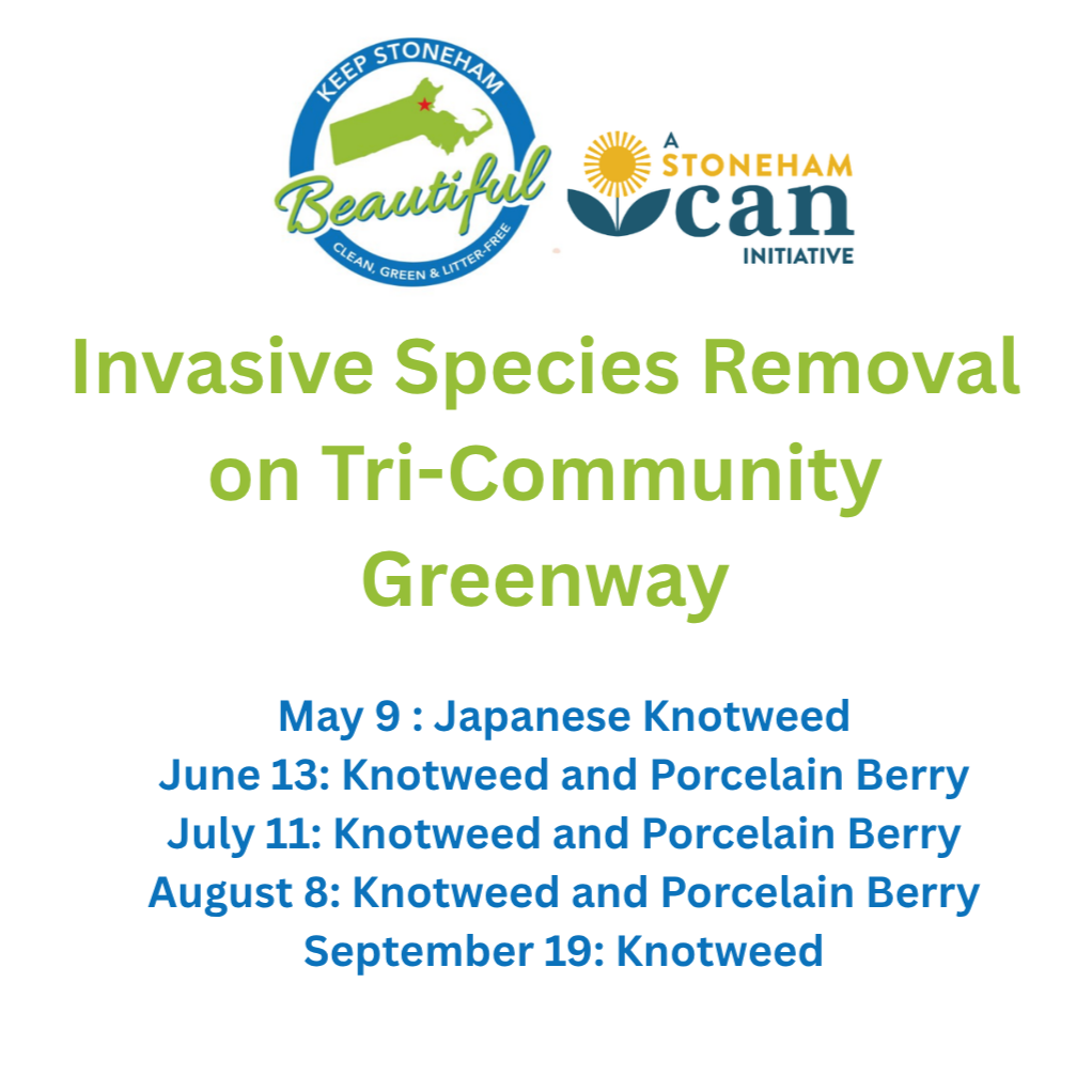 Tri-Community Greenway Invasive Species Removal