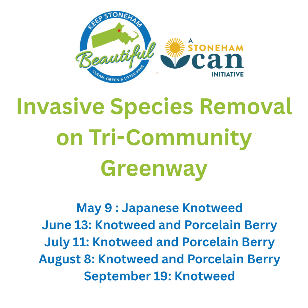 Tri-Community Greenway Invasive Species Removal 