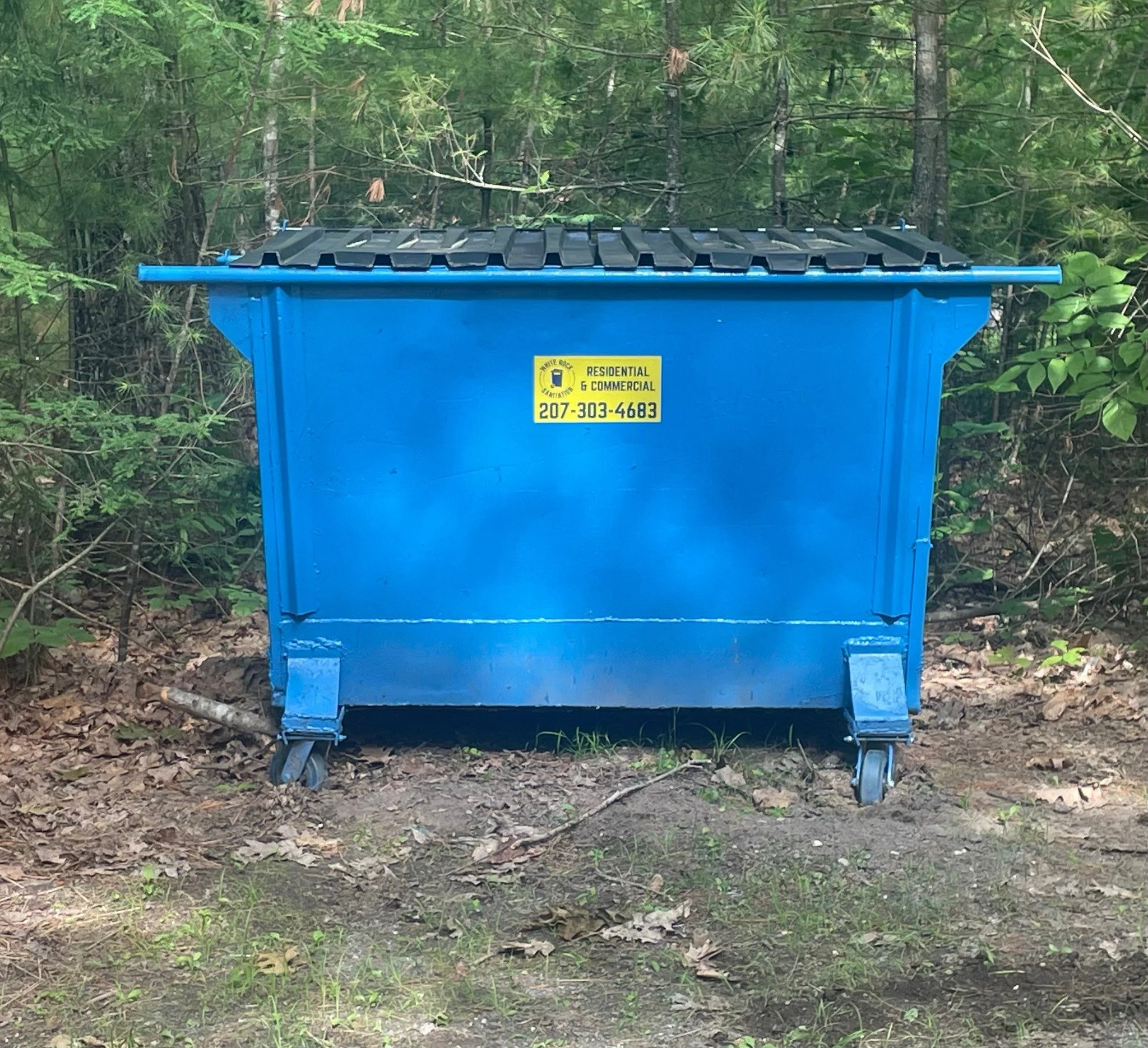 Blue outdoor dumpster with a black lid in a wooded area, with a yellow contact label on it for White Rock Sanitation in Gorham, Maine.