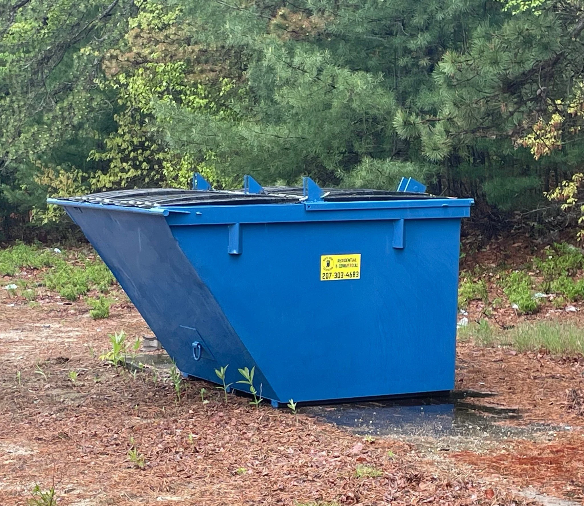 A blue outdoor trash dumpsterf from White Rock Sanitation in Gorham, Maine on a patch of ground with sparse grass and small plants, surrounded by green trees and bushes in the background.