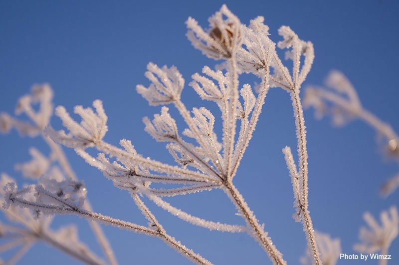 Top 5 Reasons Why Winter is the Best Time to Have Plastic Surgery