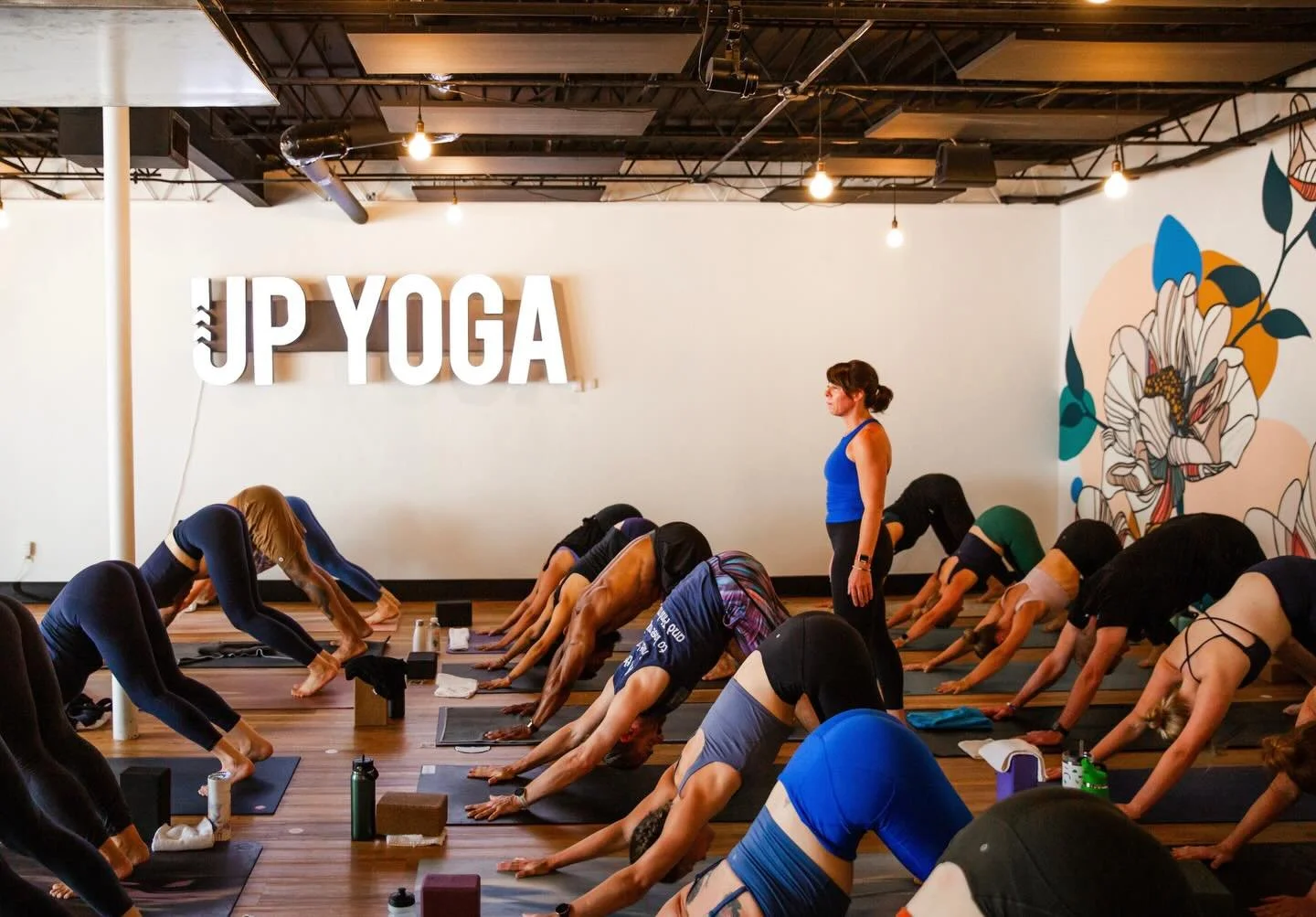 At first glance, we see a sea of Down Dogs.

Same shape.
Different stories.

Some of us walked in eager.
Some of us dragged ourselves here.
All of us are carrying something.

On the outside it&rsquo;s Down Dog &mdash; grounded, hips lifting, hamstrin