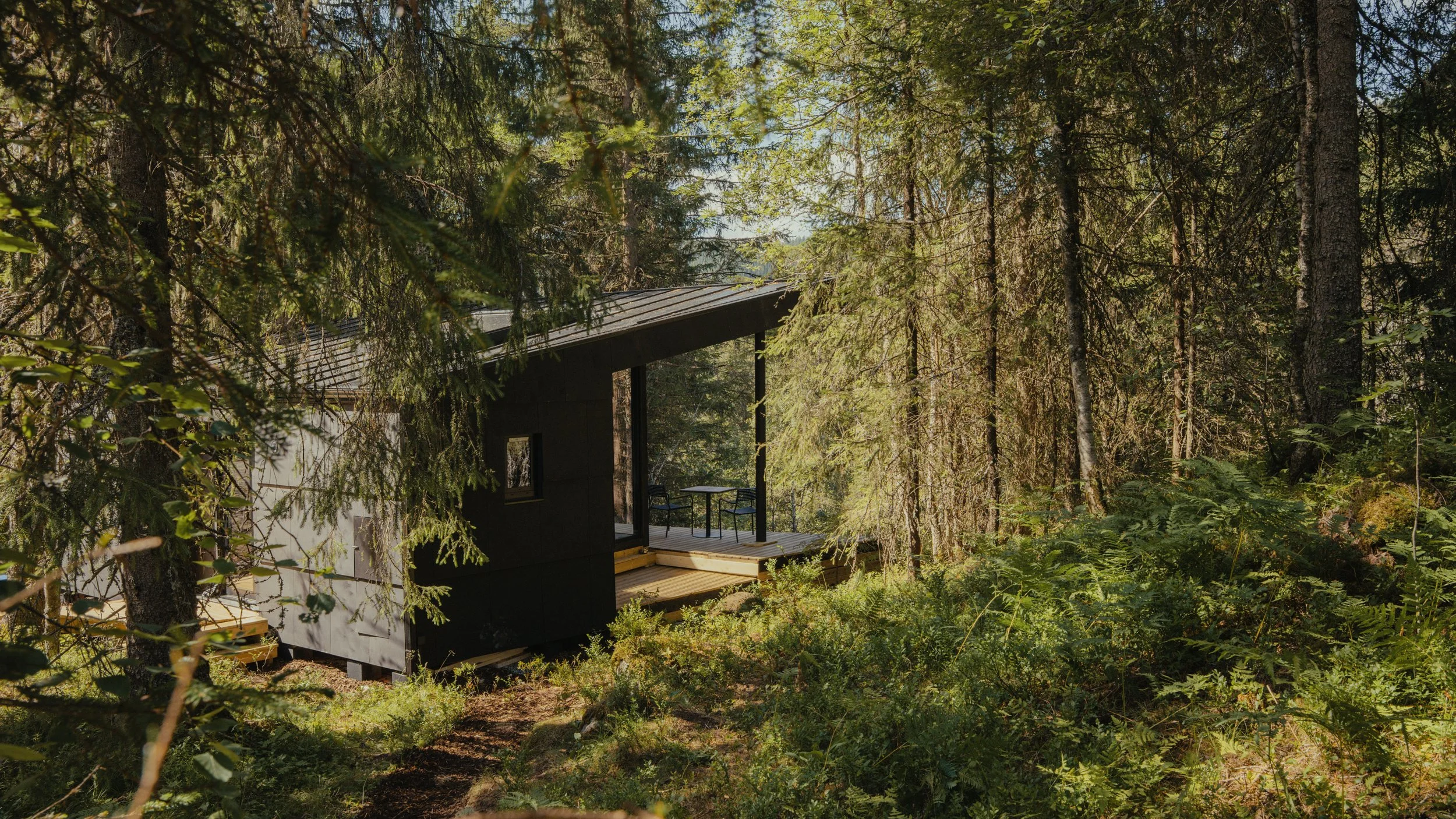 Hytte i naturen