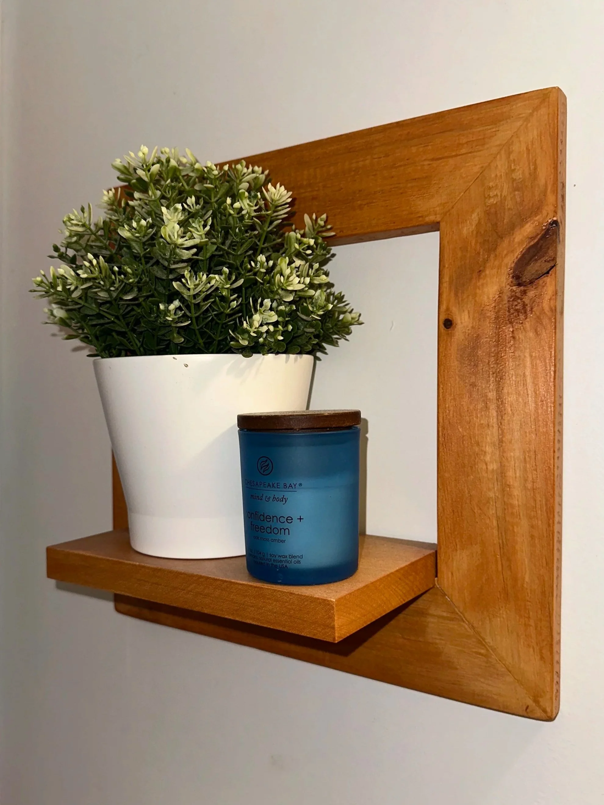 Wall Plant Holder