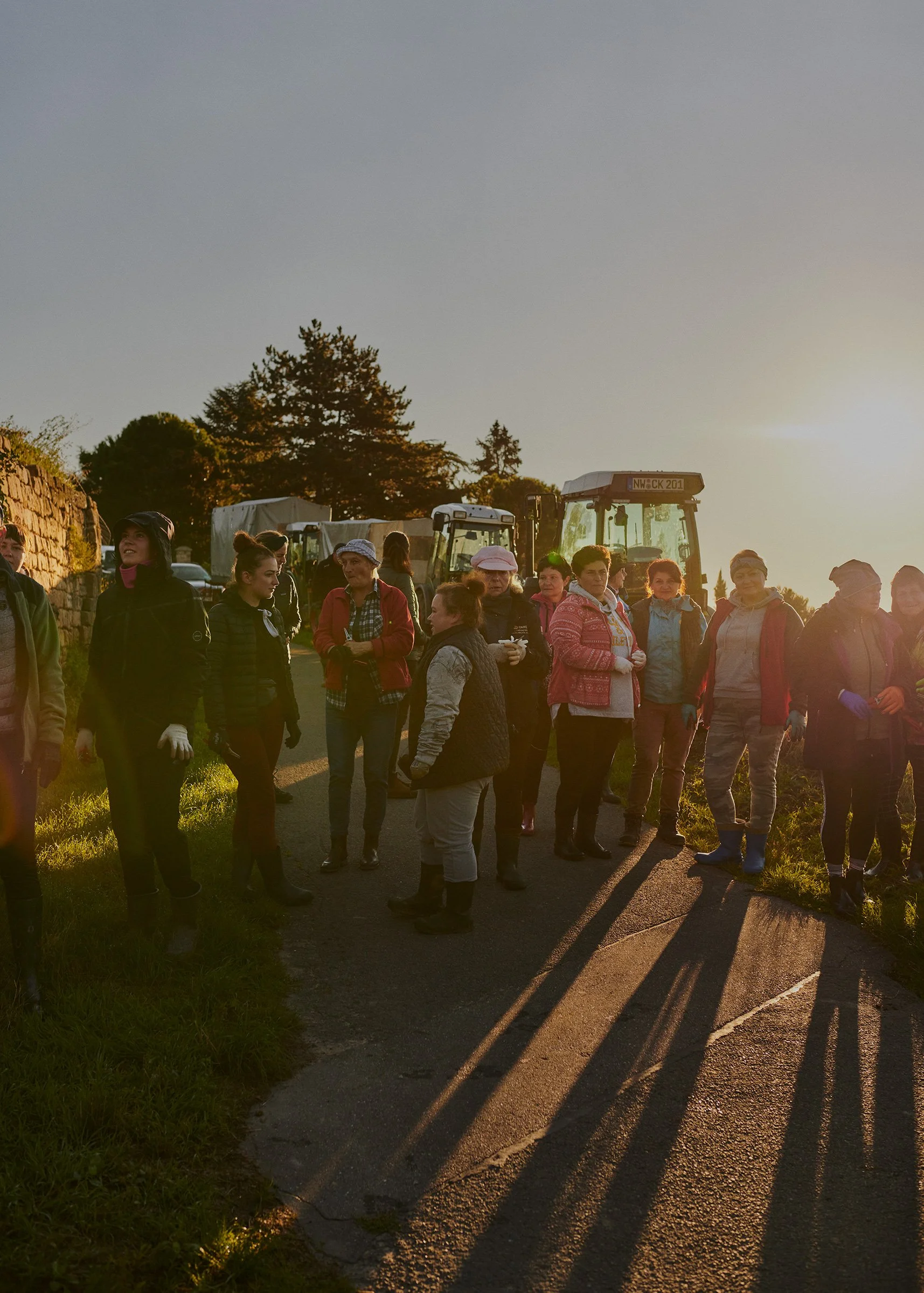 Menschen stehen im Sonnenuntergang auf einem Weg neben einer Mauer und Traktoren, während lange Schatten auf die Straße fallen.