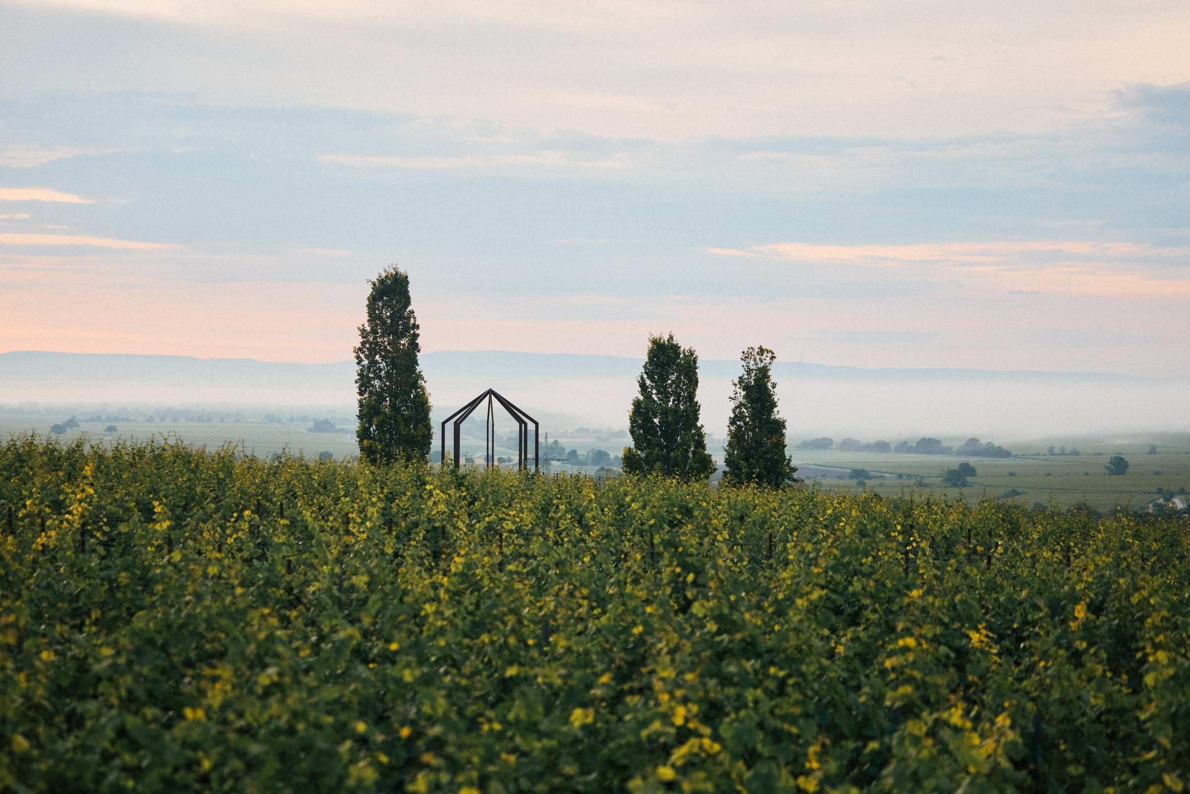Eine weite Landschaft mit grünen Feldern, vier hohe Bäume im Vordergrund und einen Himmel mit Wolken.