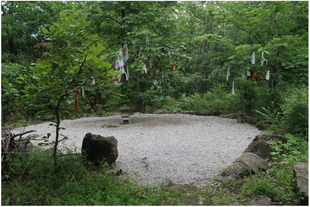 Forest Bathing with Emmie Brenzel