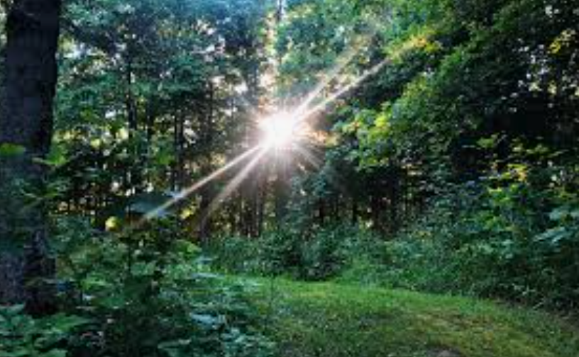 Summer Solstice Weekend