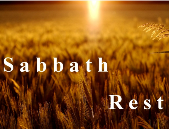August Sabbath Rest