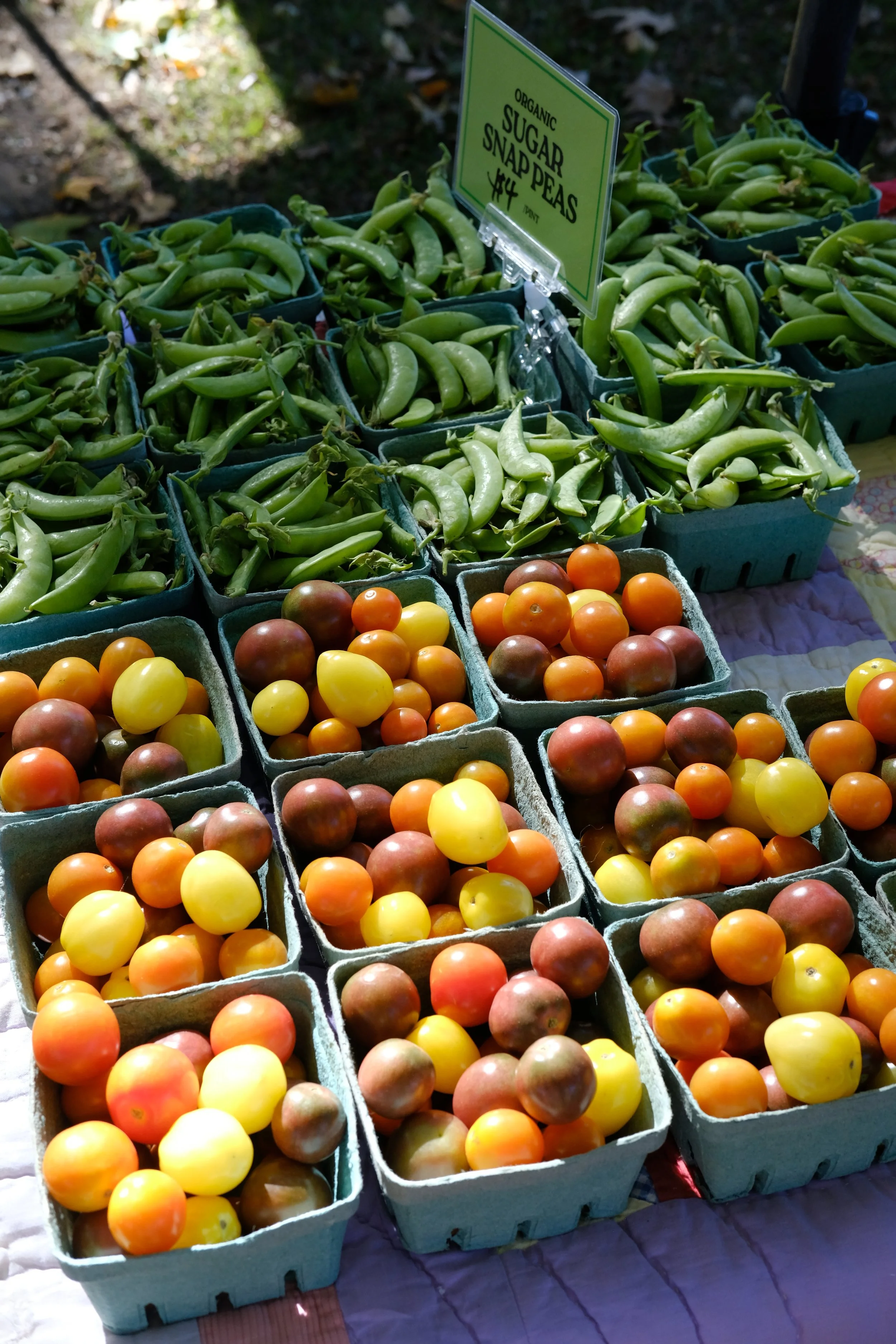 2026 Flex Share (Summer Season)