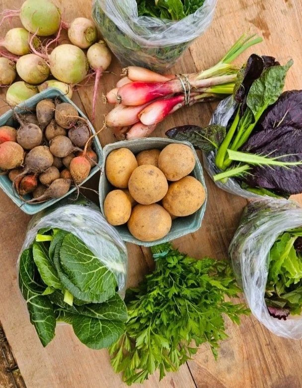 2026 Small Share (Fall Season)