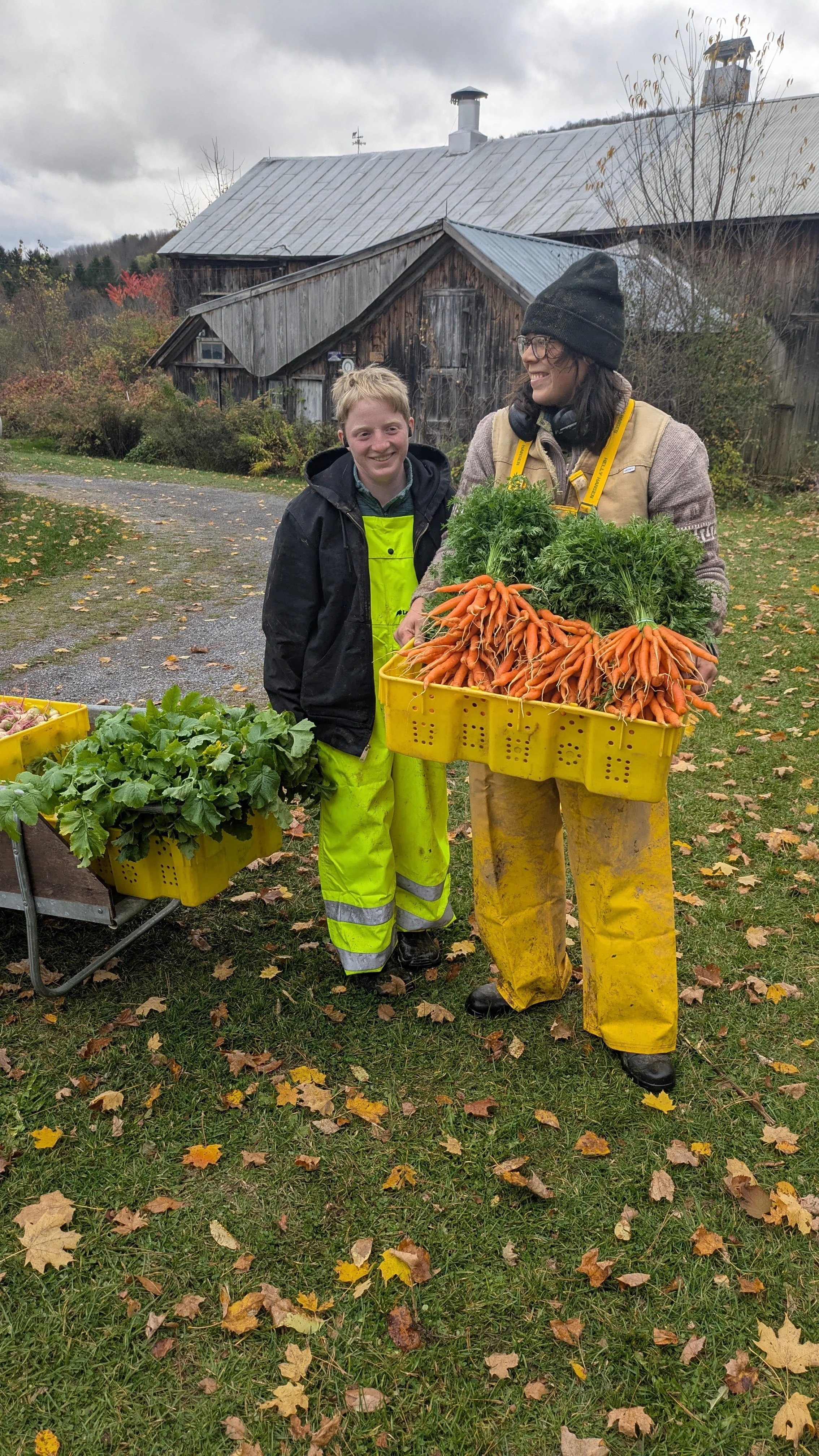 PXL_20251024_201030642 (1).jpg