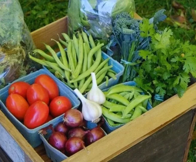 2026 Flex Share (Full Season)