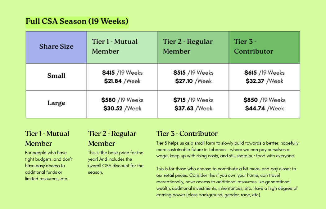 Market Cards (3.5 x 2.25 in) (1).png