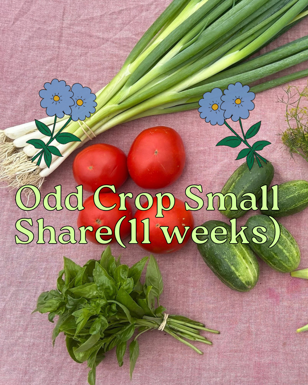 Small Share 11 Weeks.png