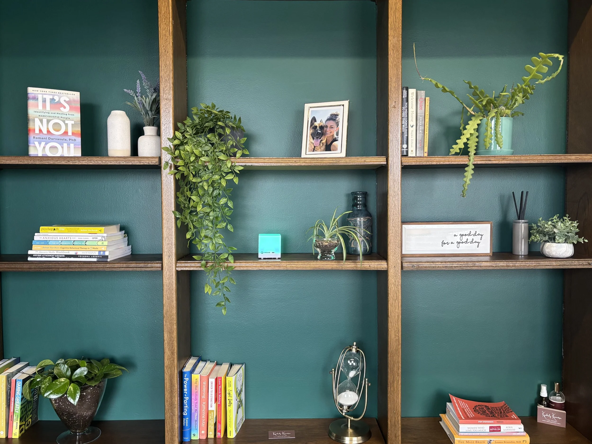 Therapy office bookshelf with plants, books, and calming decor, representing a welcoming space for healing attachment wounds and relationship patterns in Michigan