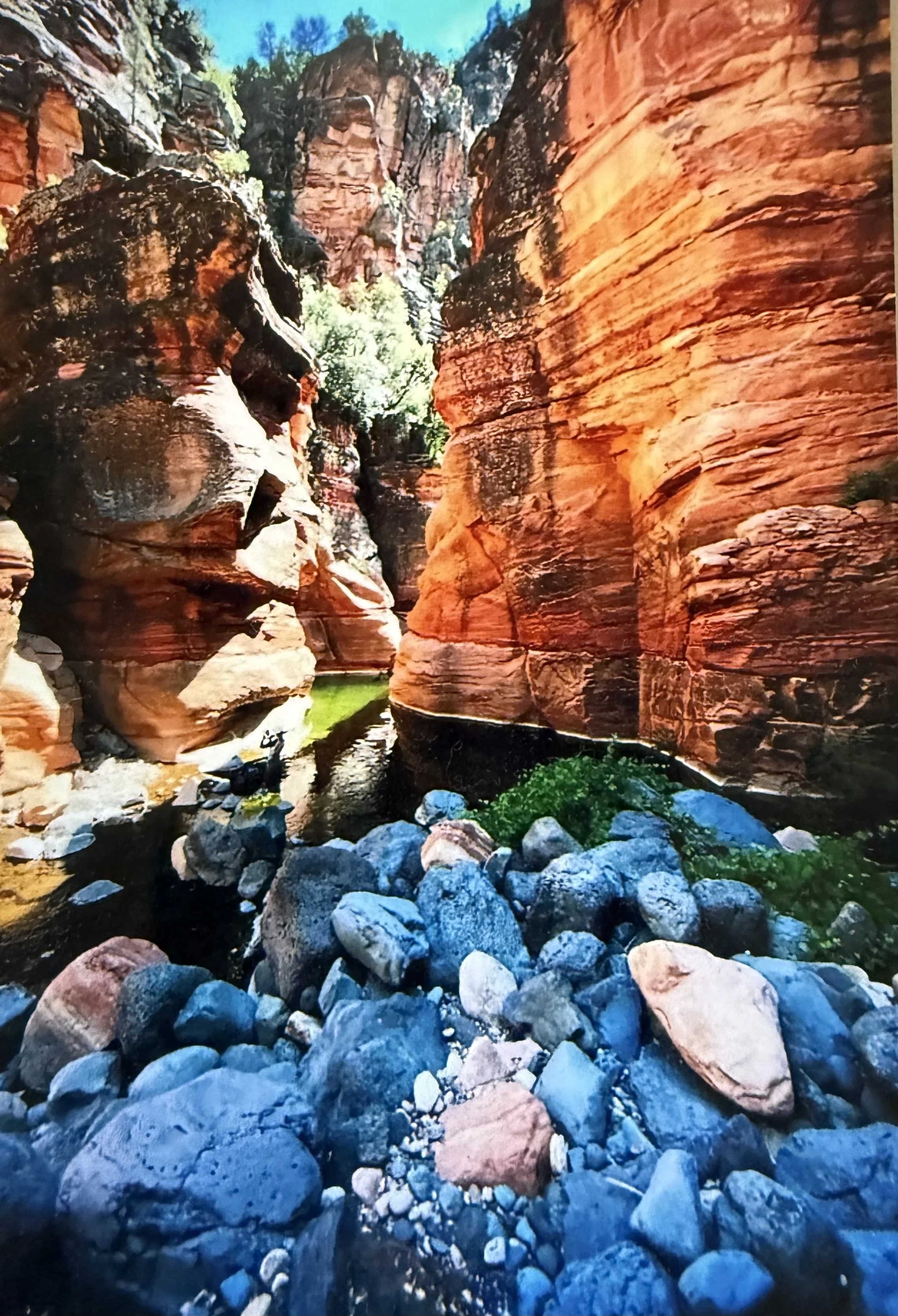 The Center for Ayurvedic and Yogic Healing