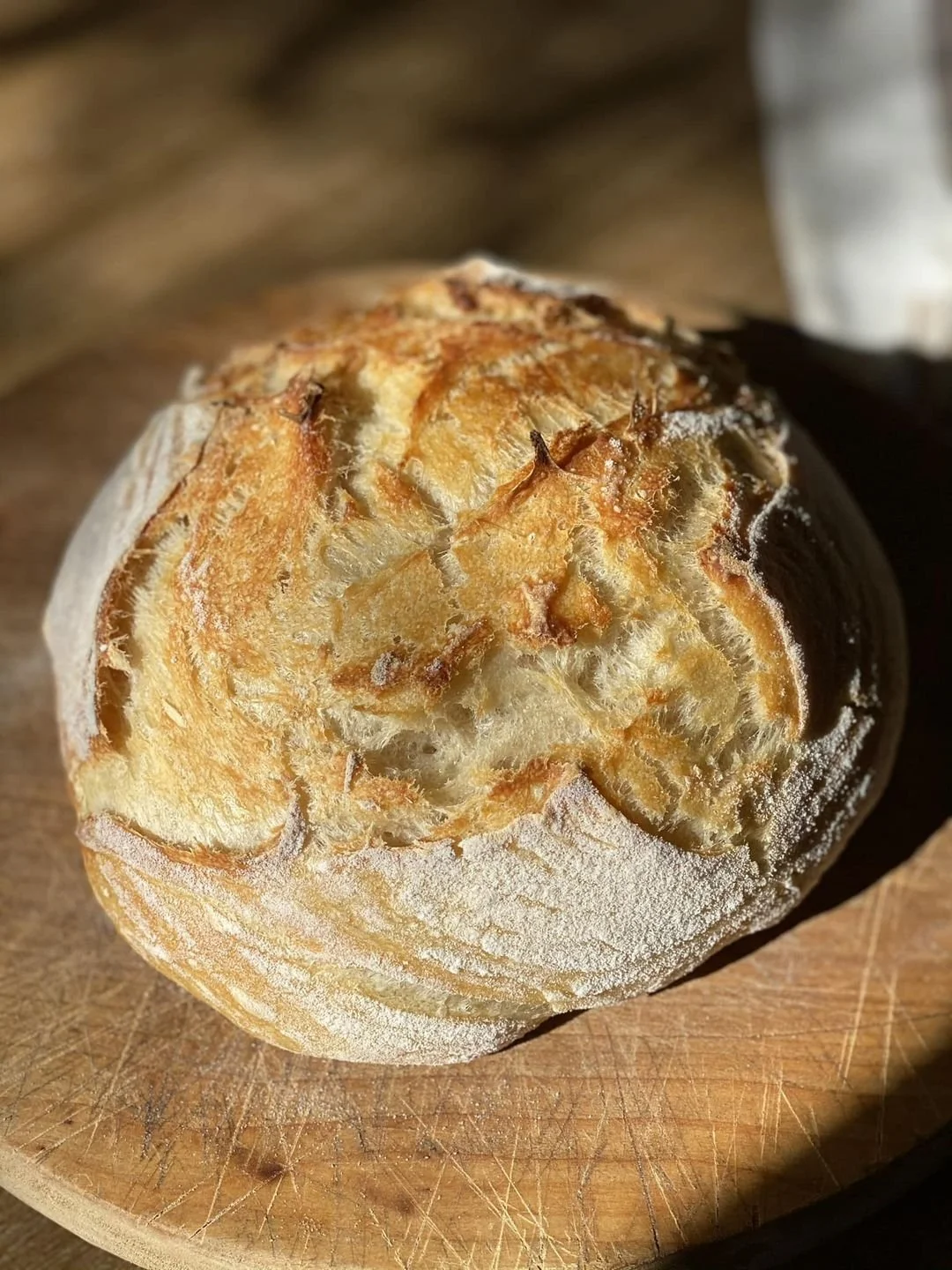 sourdough.jpg