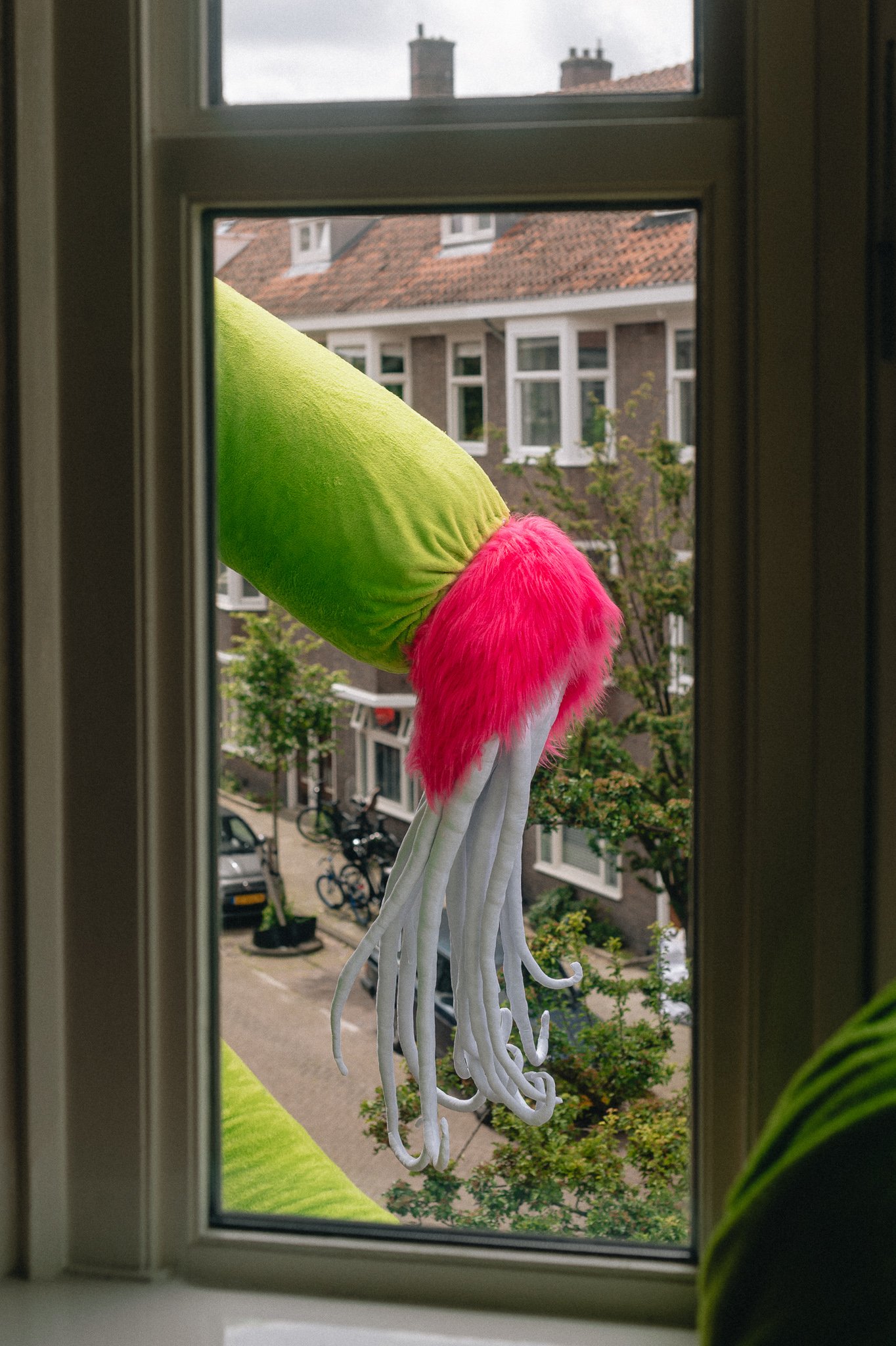 DSC_5408.jpg