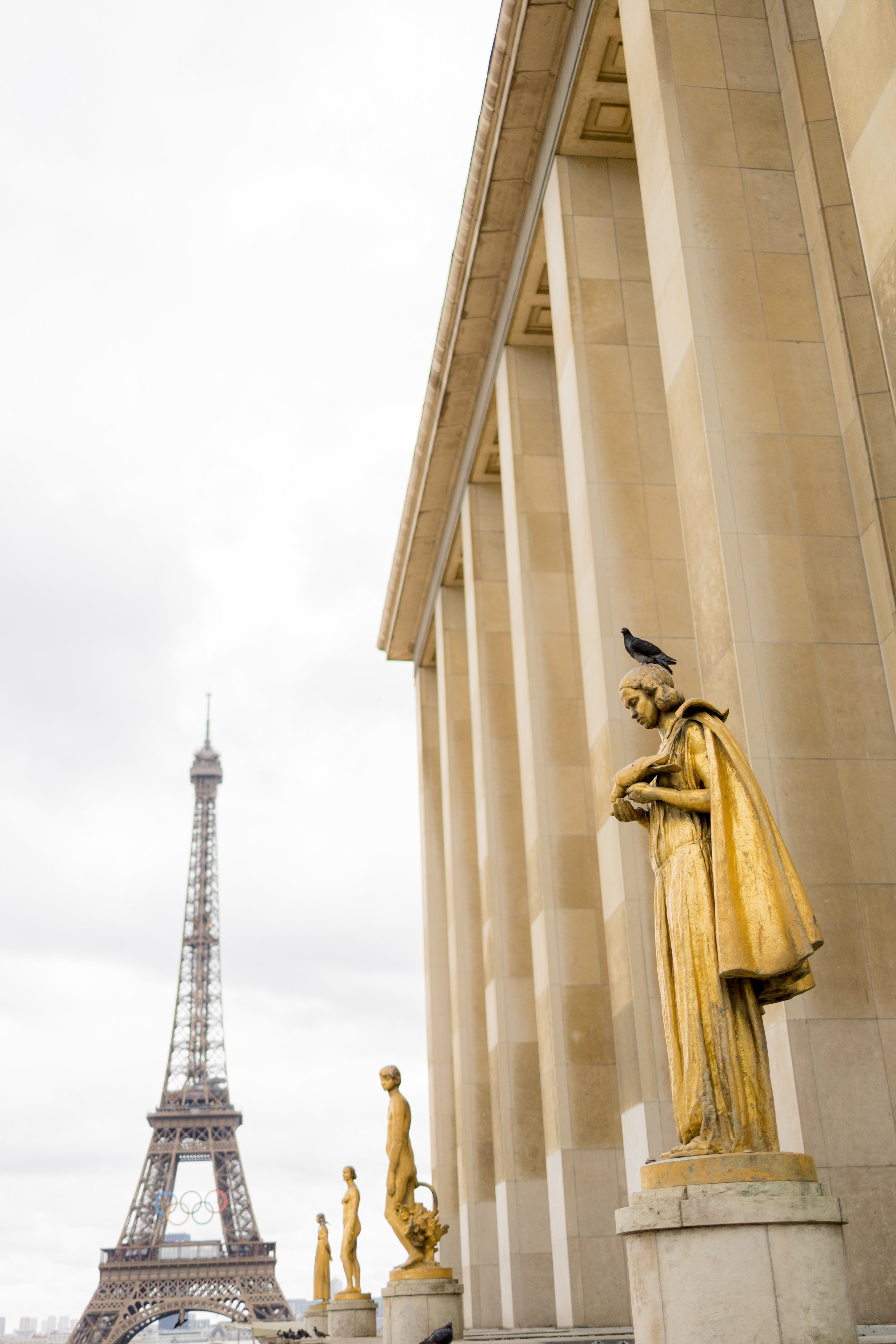 View of the Eiffel Tower with Olympic rings, statues, and columns of the Palais de Chaillot in Paris.