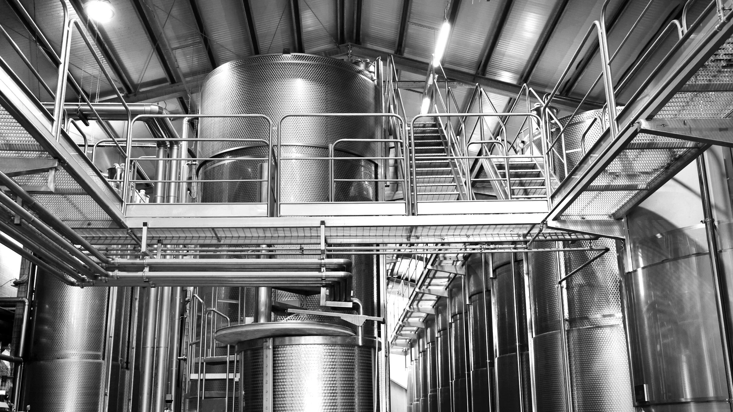 LA CANTINA PIZZOLATO - VINIFICATION AREA (4).jpg