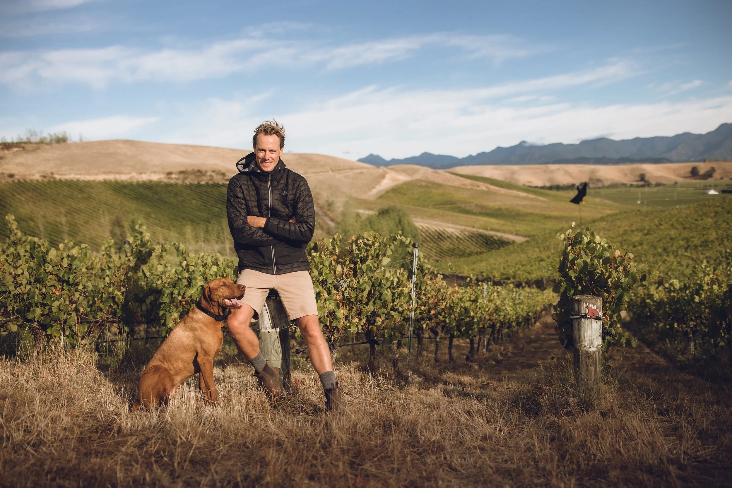 Two Rivers David Clouston Brookby Hill Vineyard Autumn copy.jpg