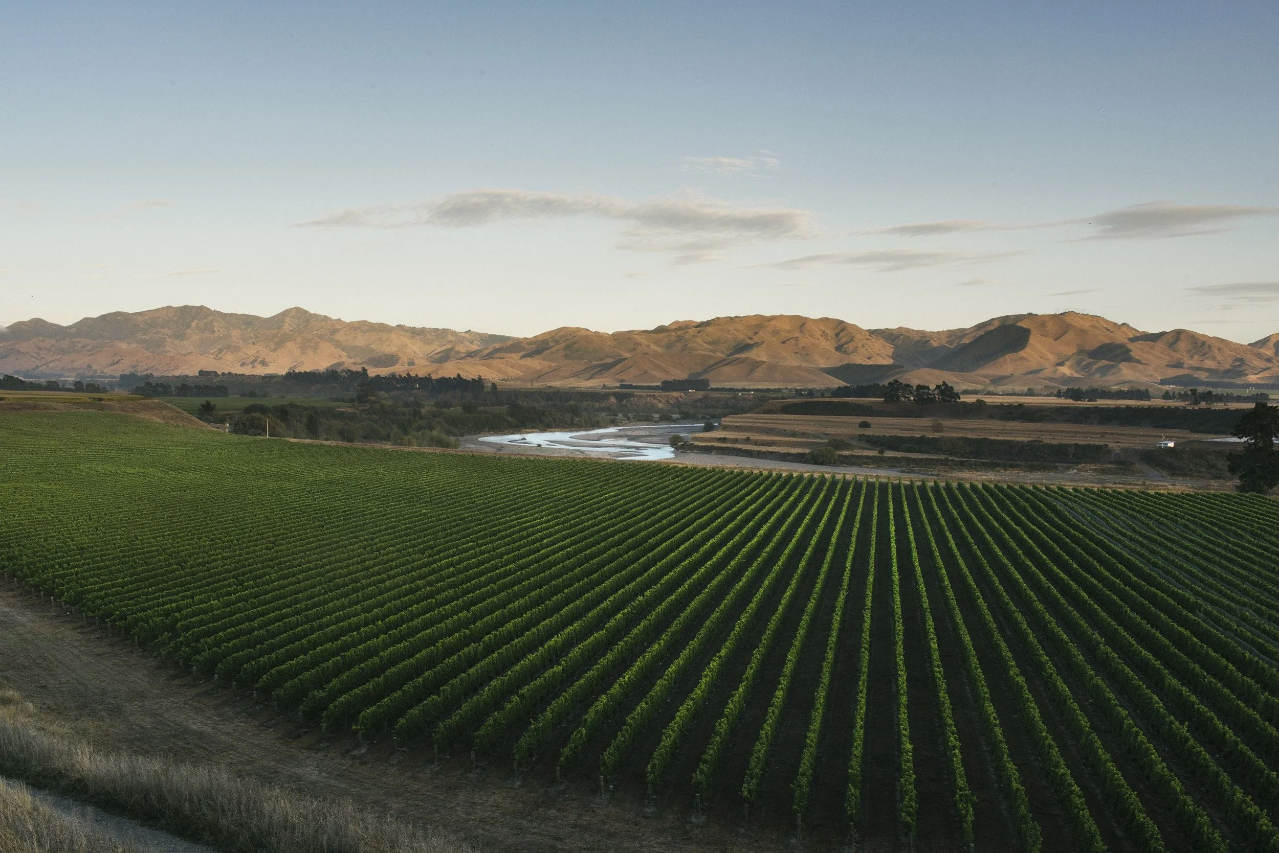Two Rivers Vineyard Awatere Valley.jpg