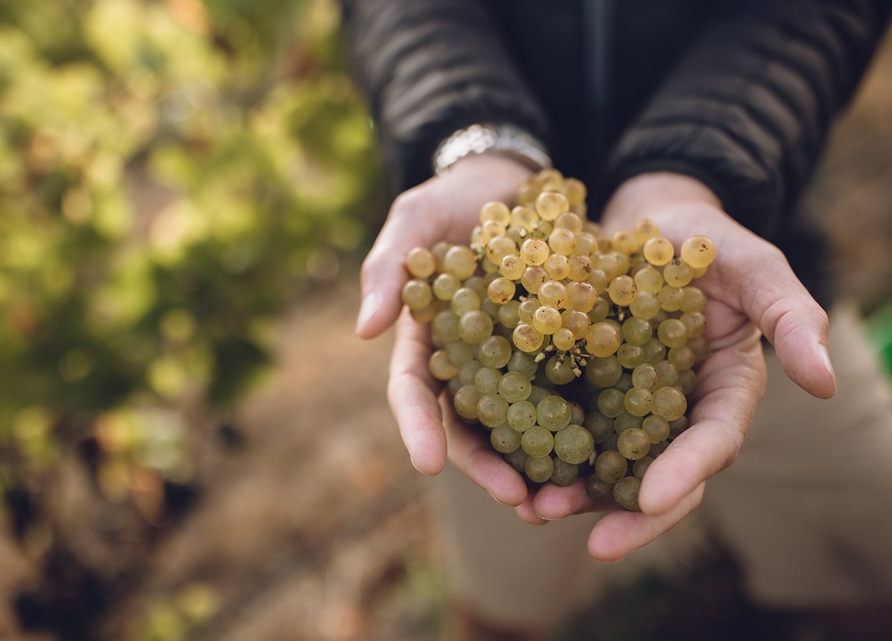 Two-Rivers-Chardonnay-in-hand.jpg