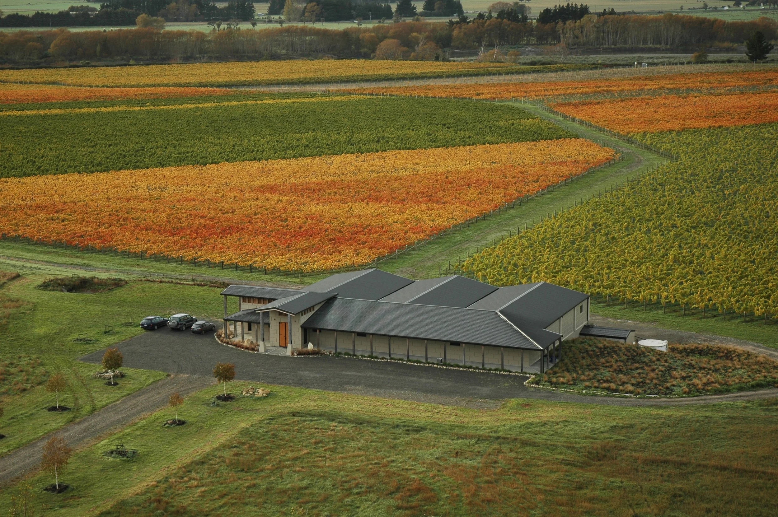 DSC_0014.JPG
