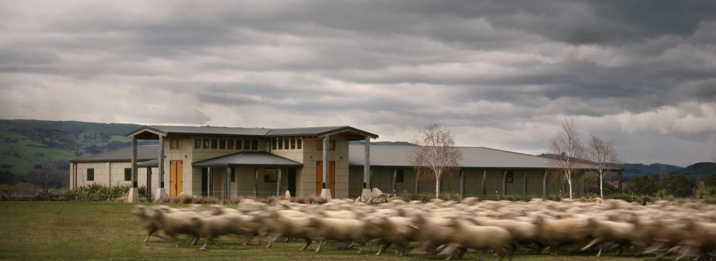 winery shots no.1 002.jpg