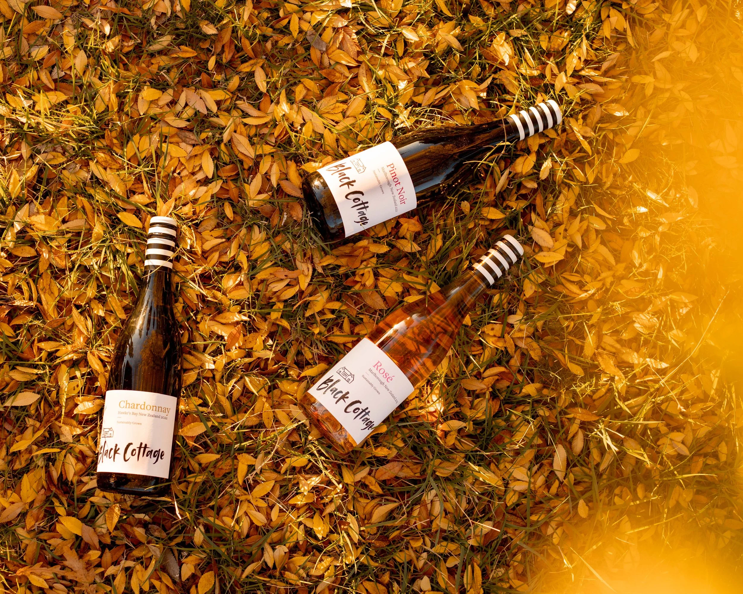 BC-Autumn-Selection.jpg