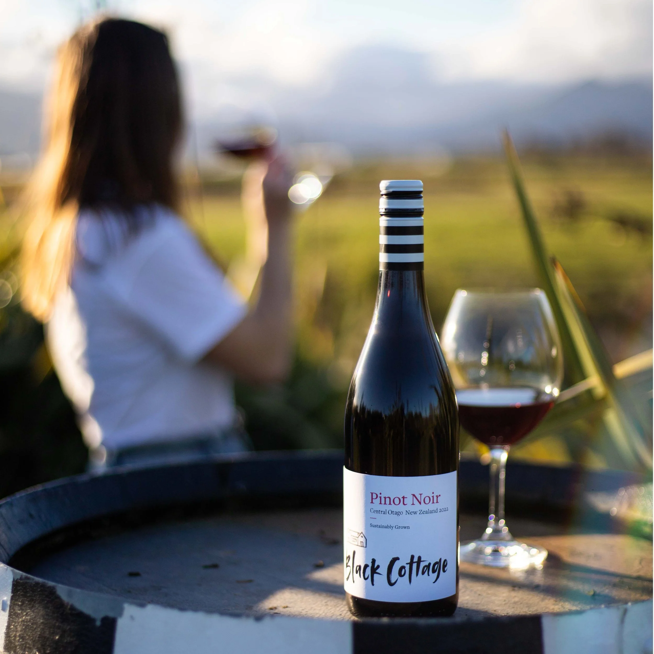 BC-Pinot-Noi-CENTRAL.jpg