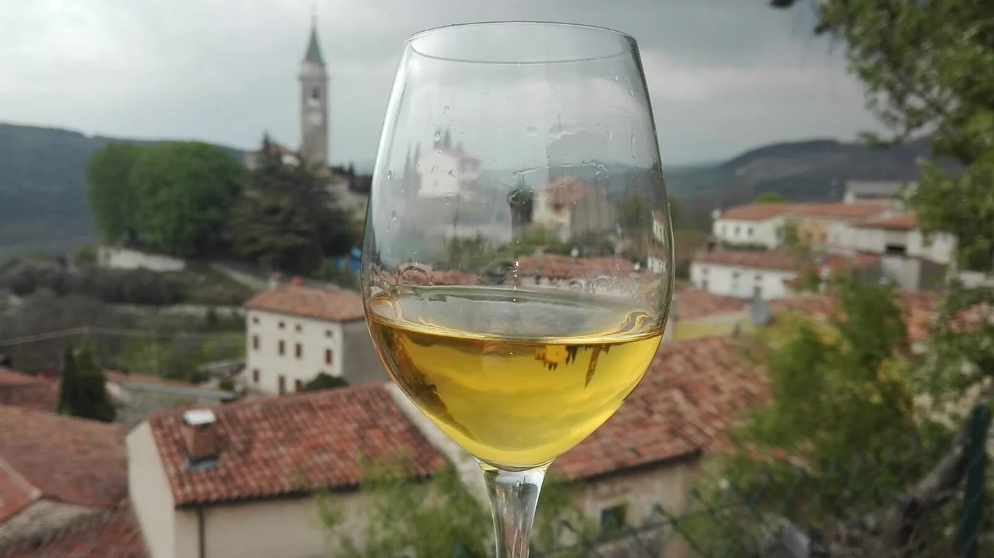 azienda-agricola-vicentini-agostino-tasting_uhbpez.jpg